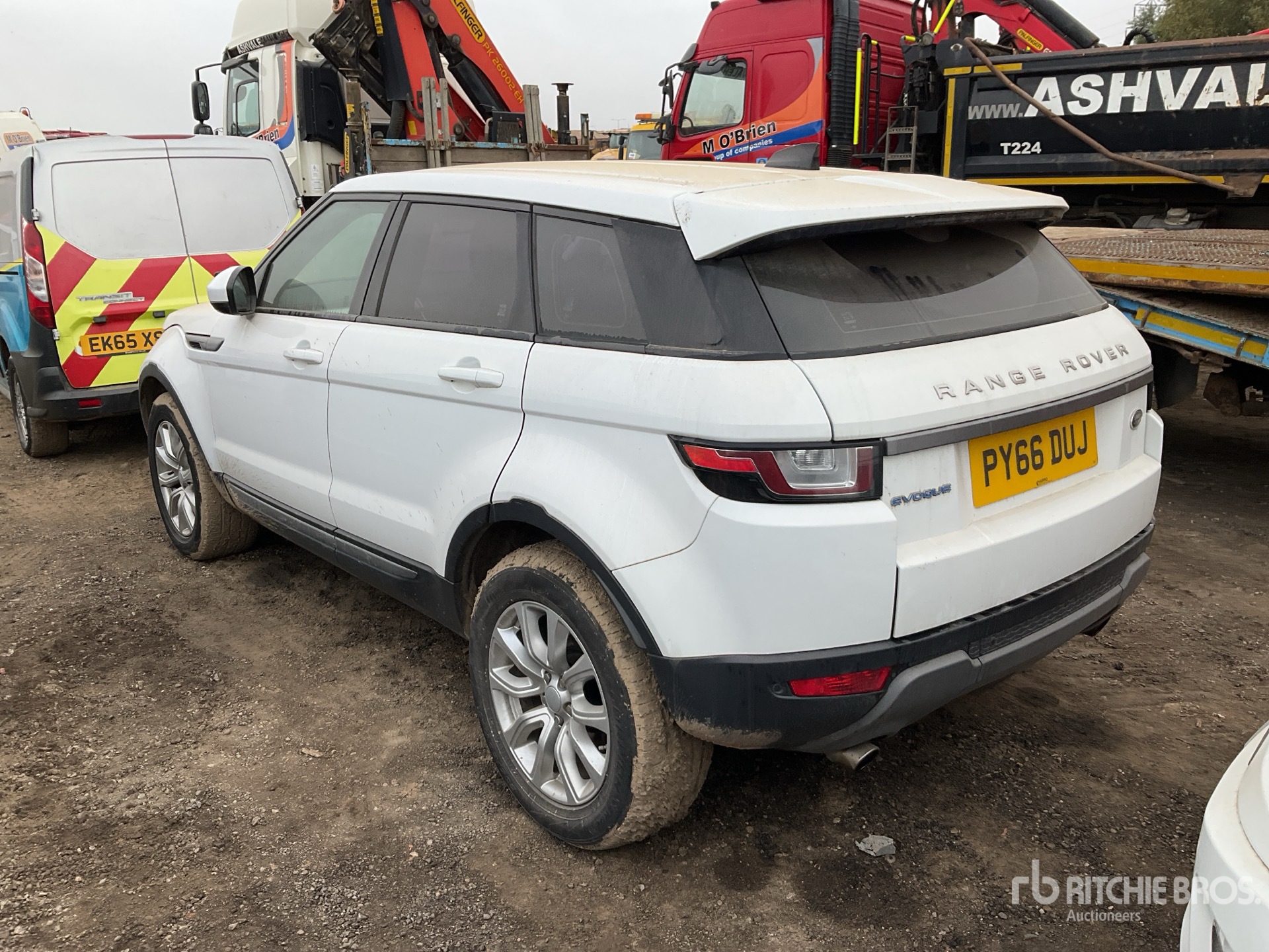General Appearance with Picture, Left Rear Corner