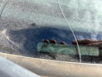 General Appearance with Second Serial Number/VIN Photo