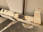 General Appearance with Paint