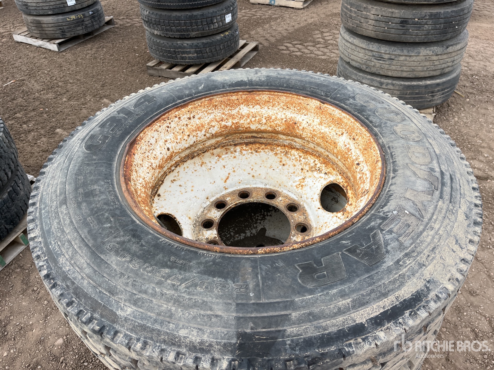 General Appearance with