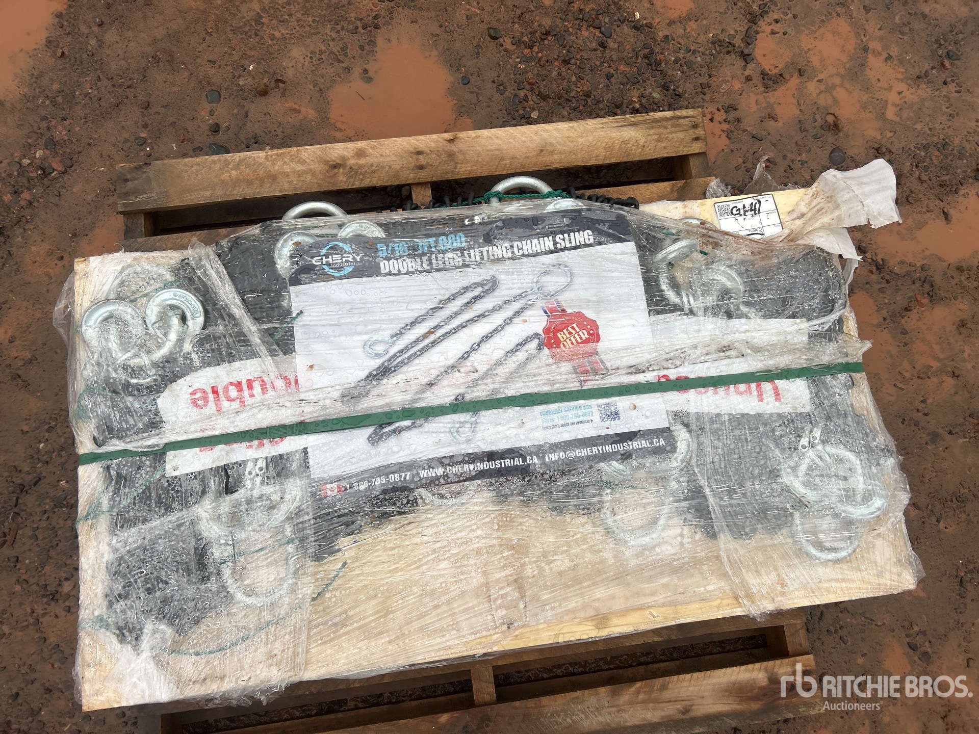 General Appearance with 