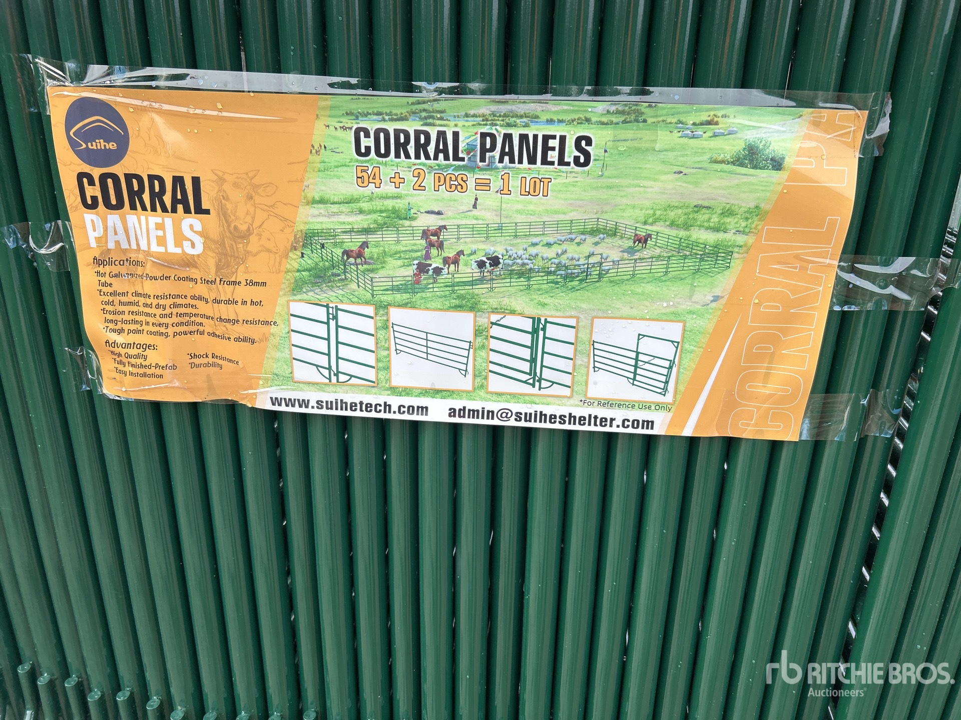 General Appearance with 