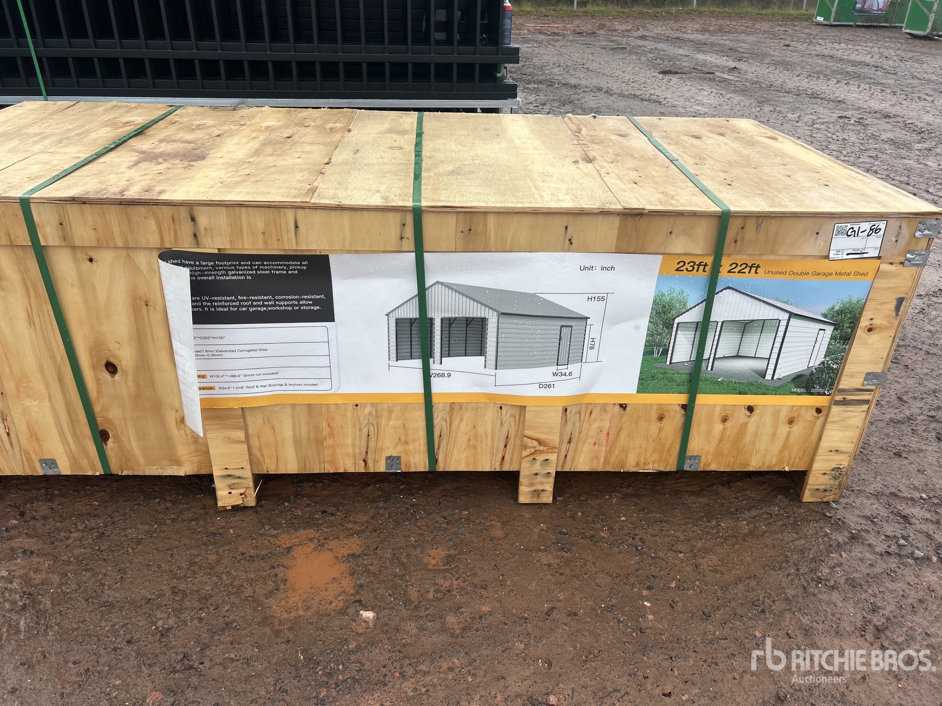 General Appearance with 