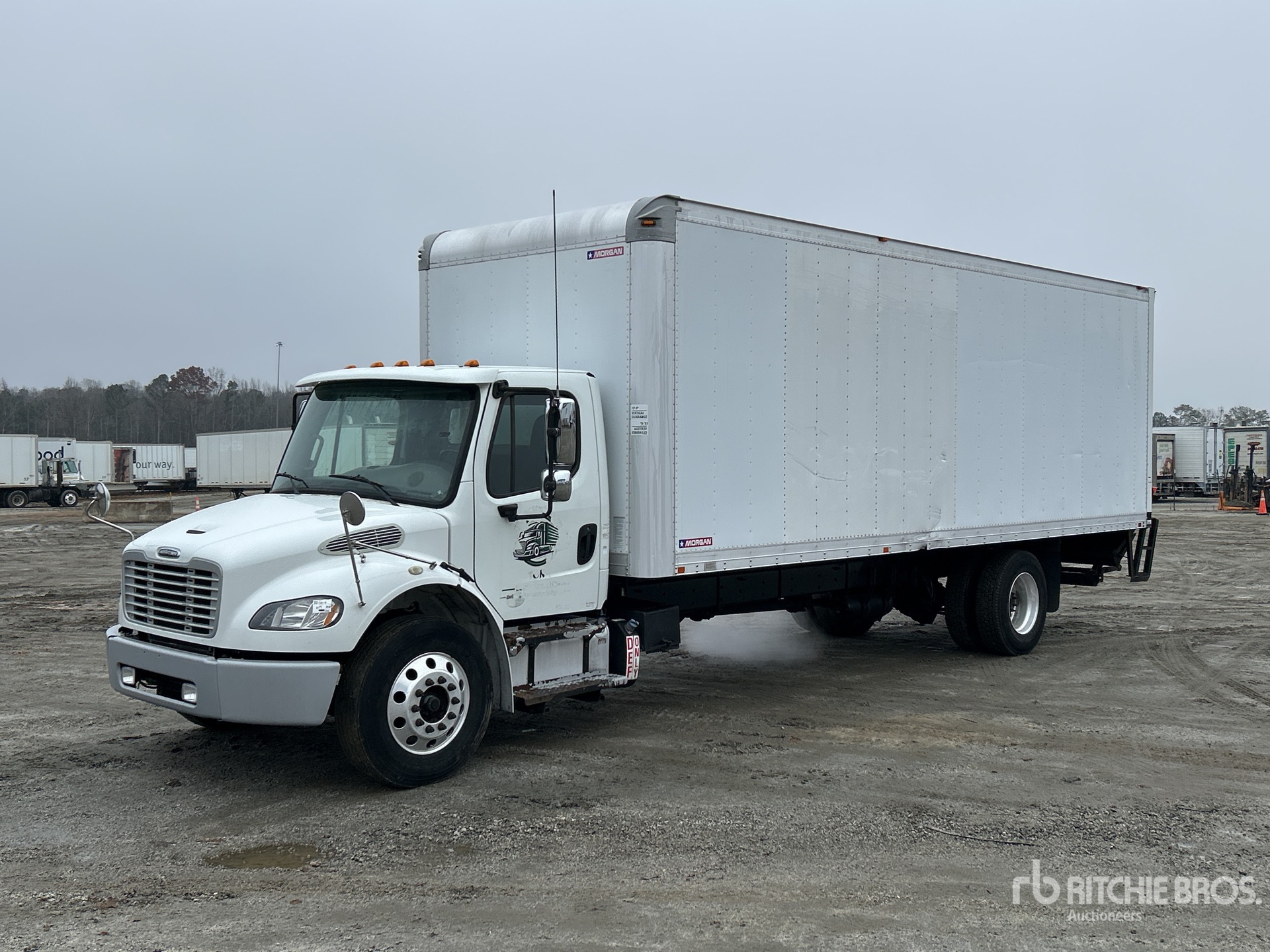 General Appearance with Spin