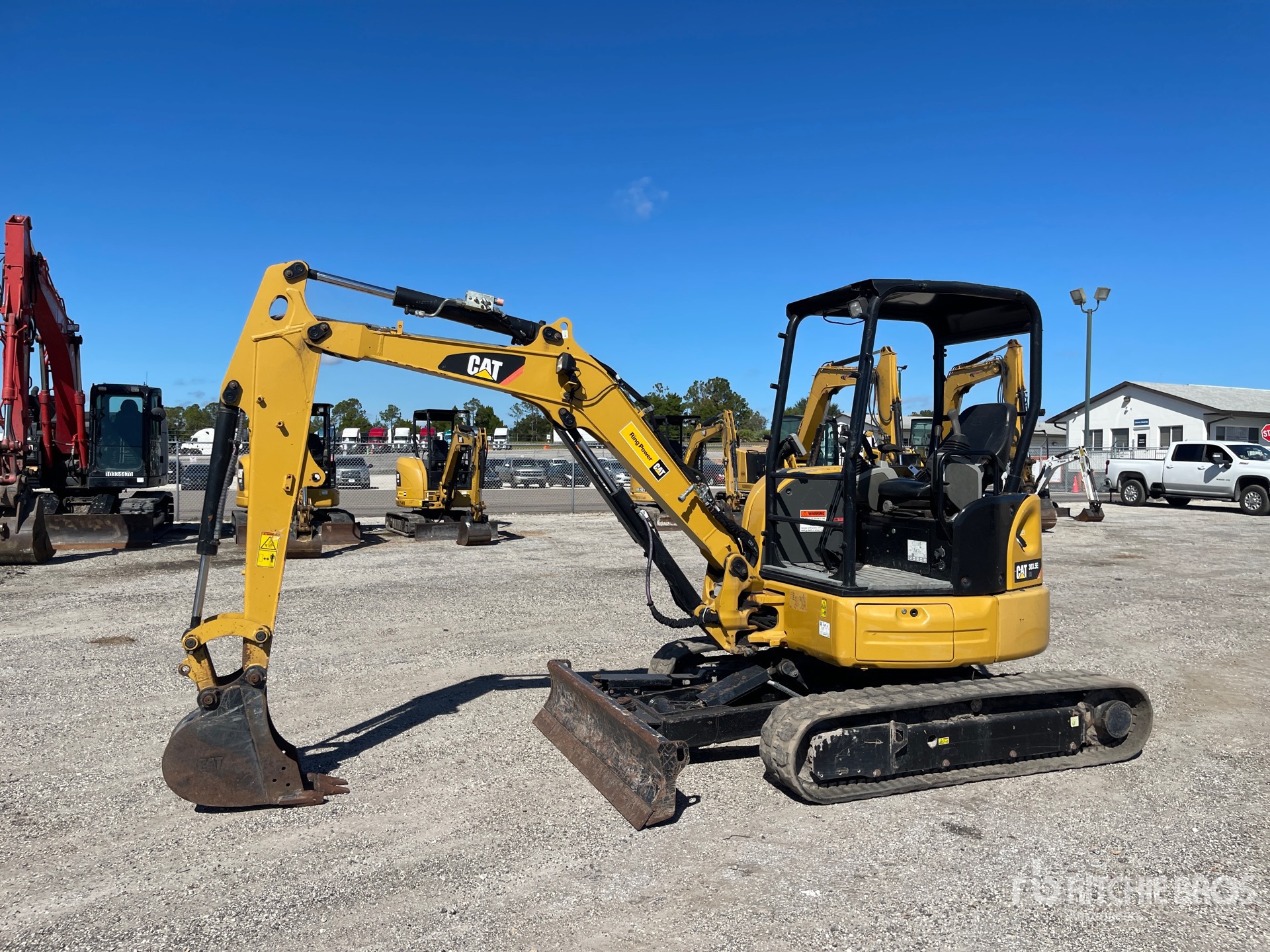 General Appearance with Spin