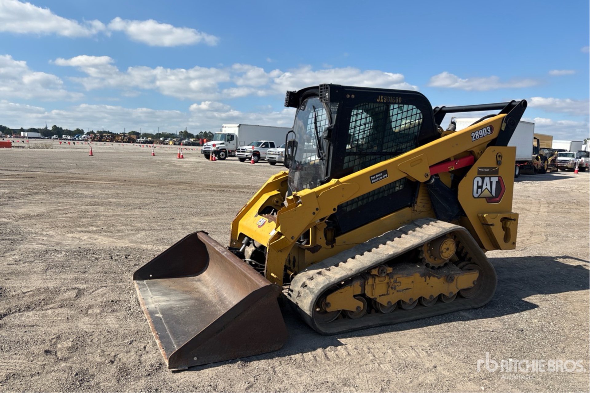 General Appearance with Spin