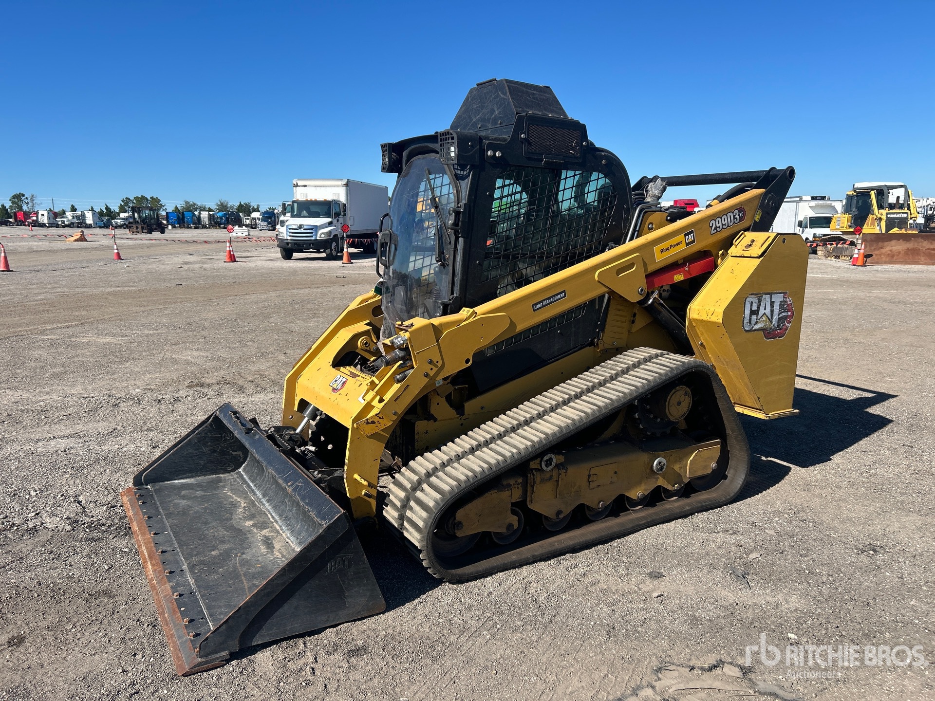 General Appearance with Spin