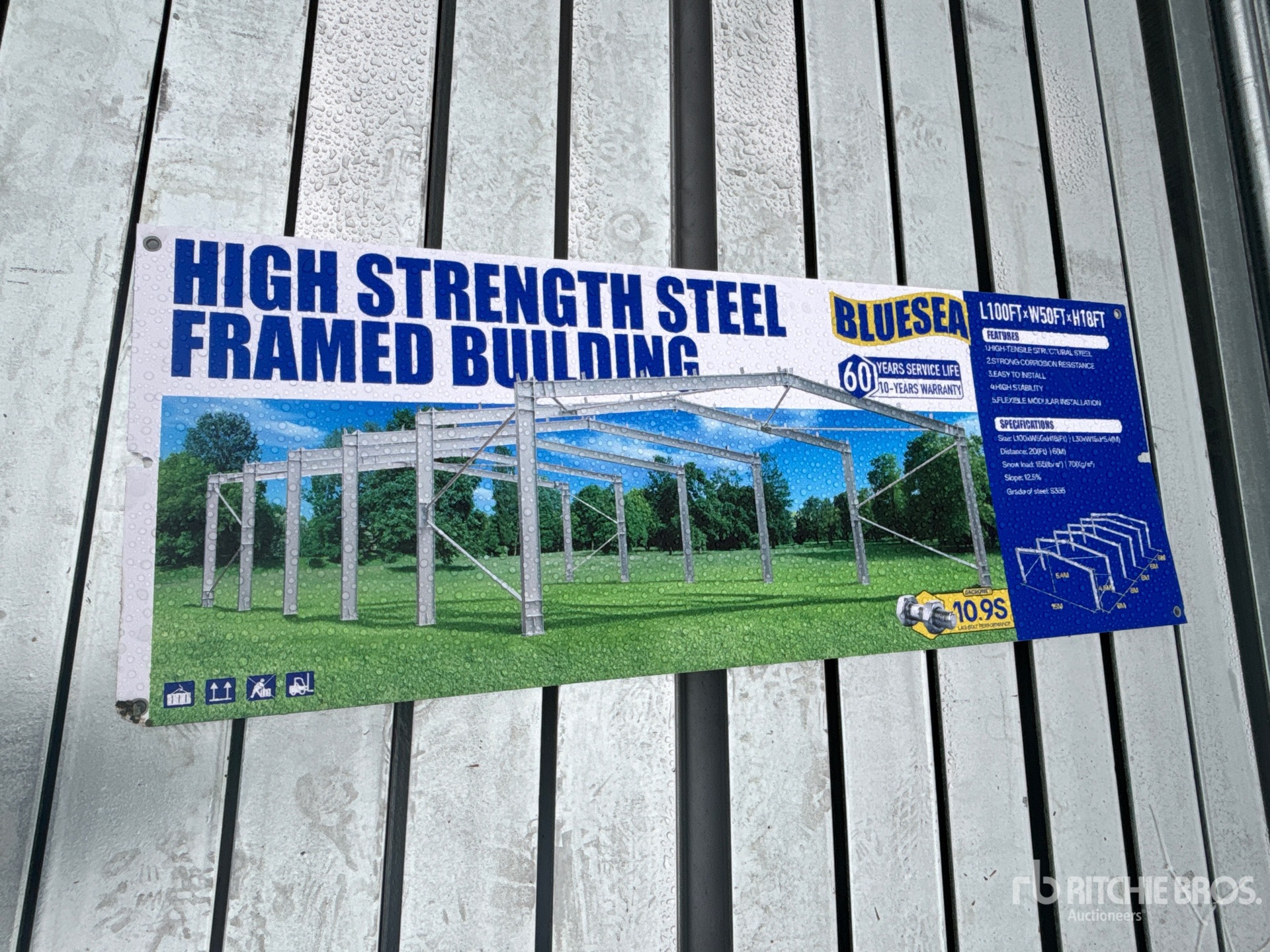 General Appearance with 