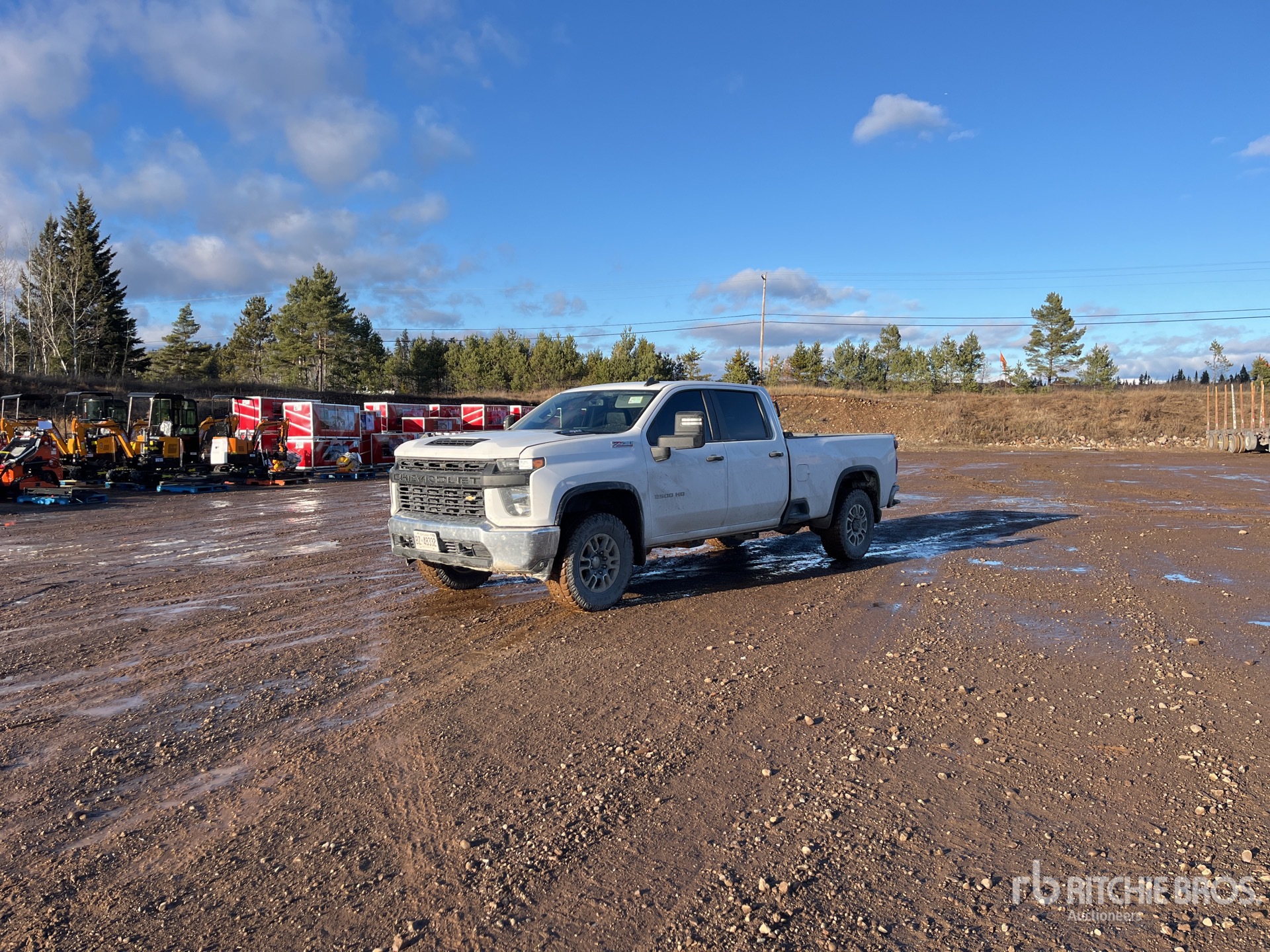 General Appearance with Spin