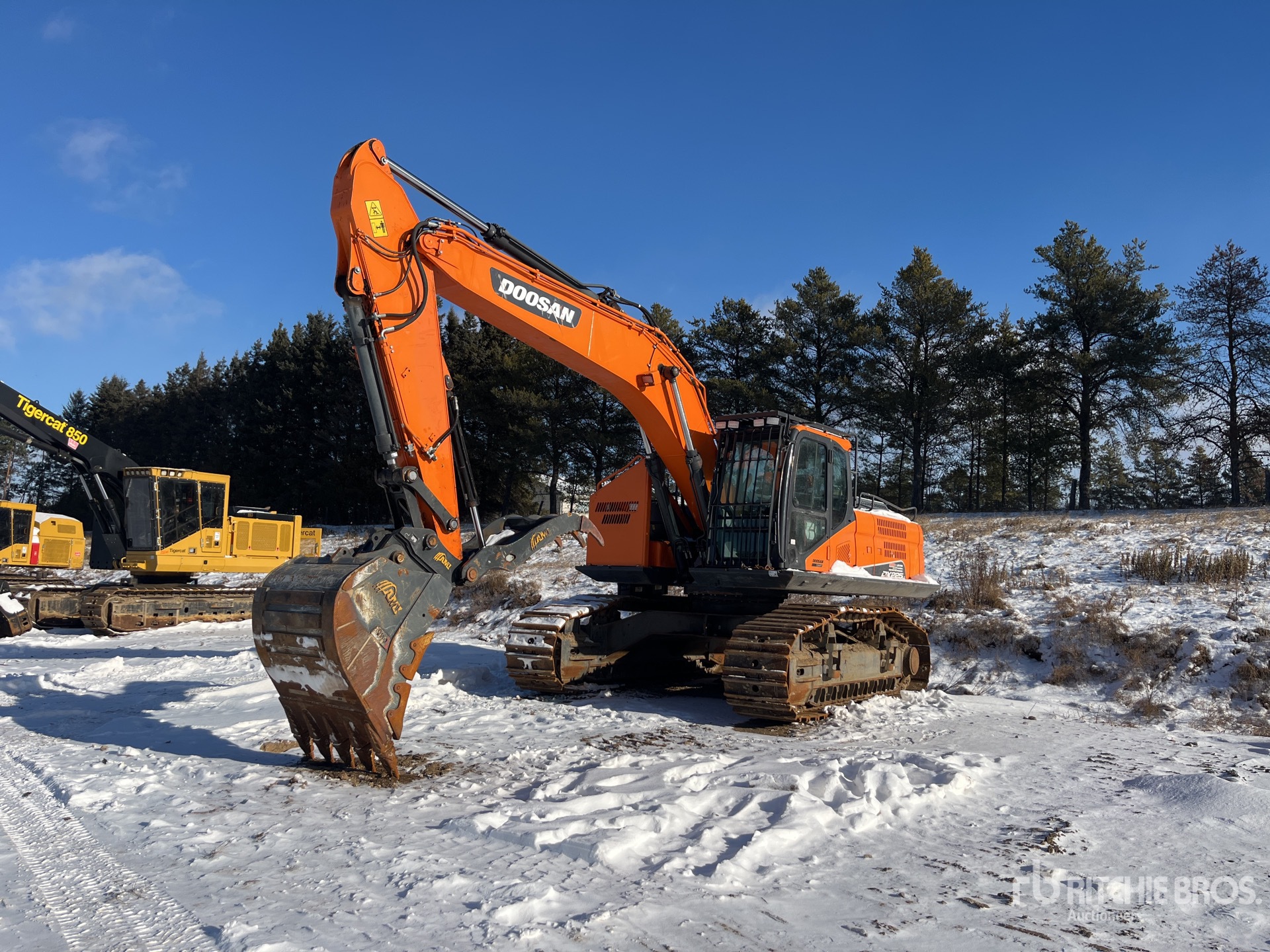 General Appearance with Spin