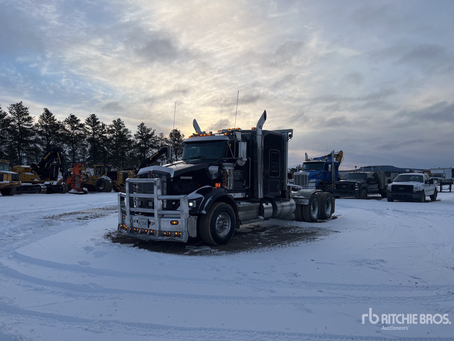 General Appearance with Spin