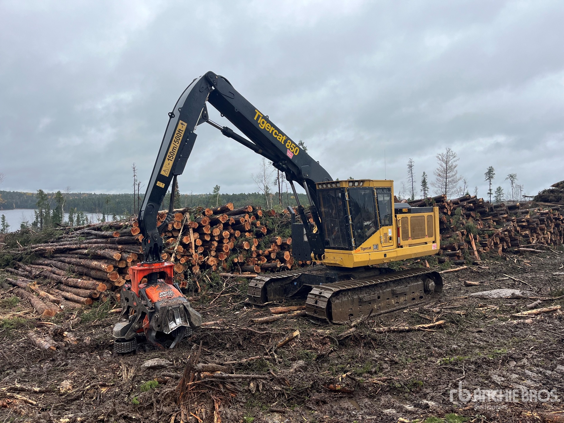 Find it in Yard with