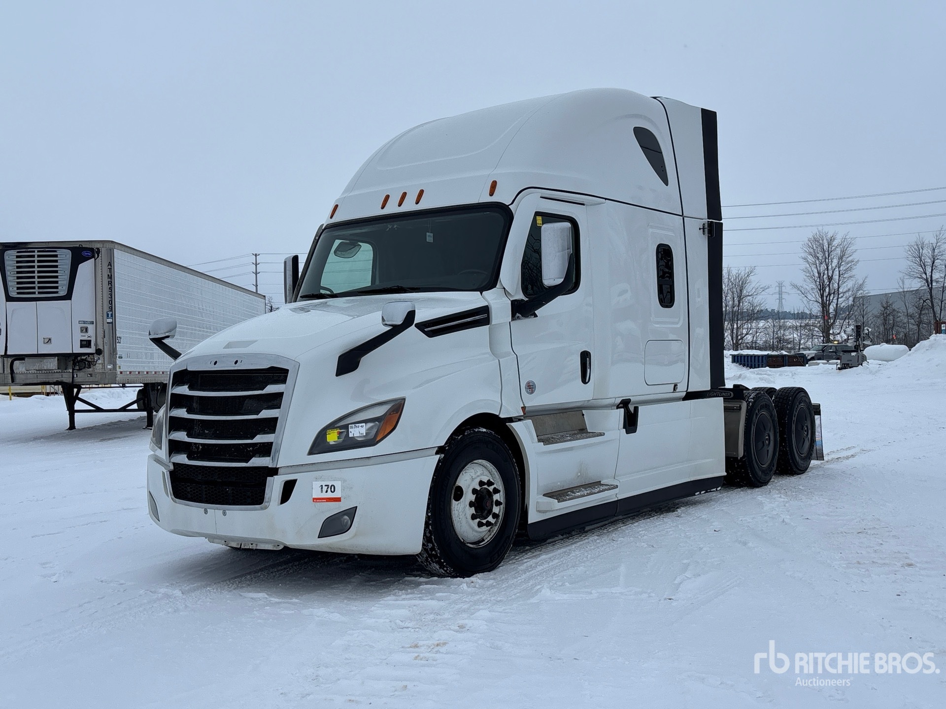 General Appearance with Spin