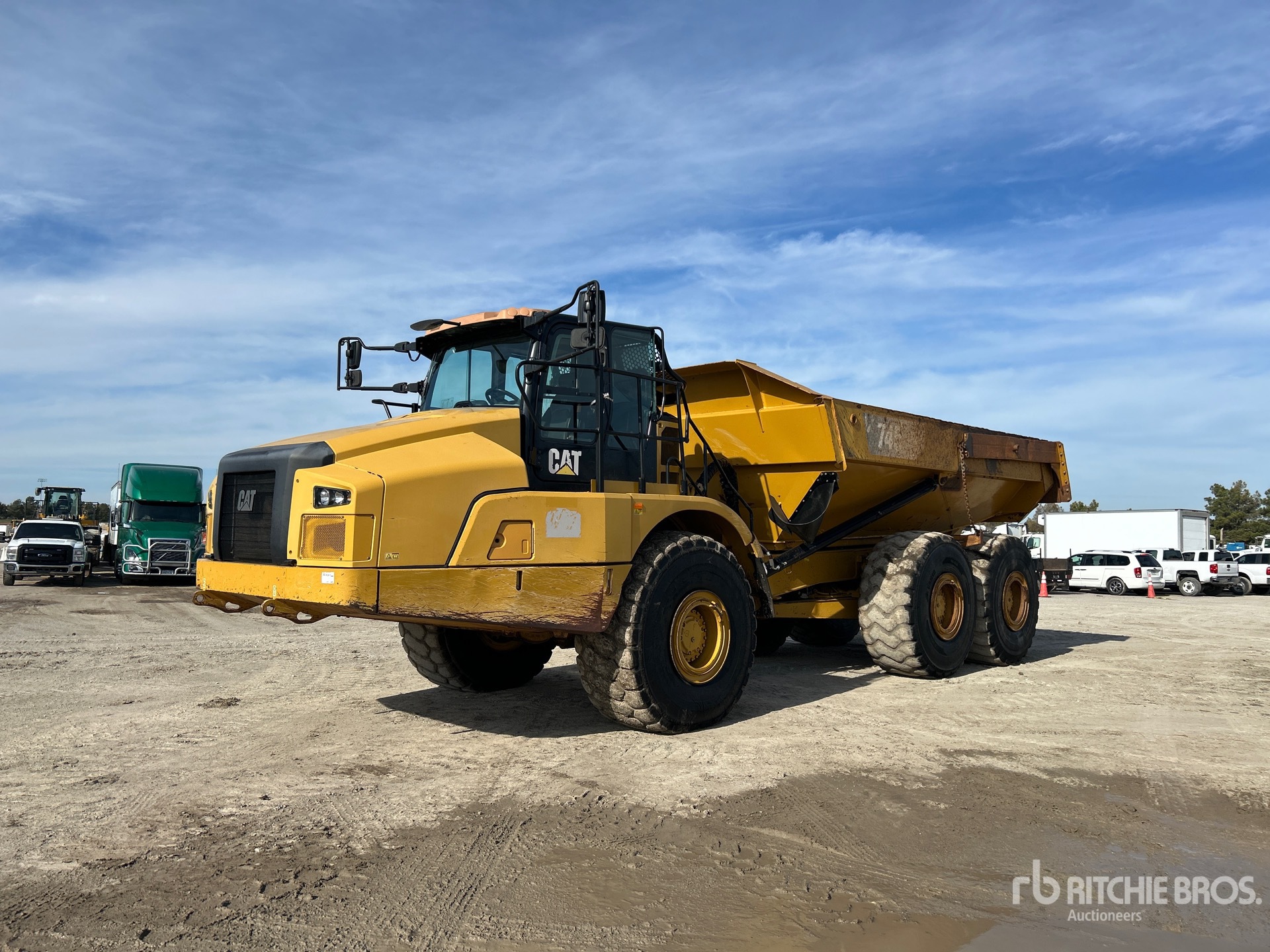 General Appearance with Spin