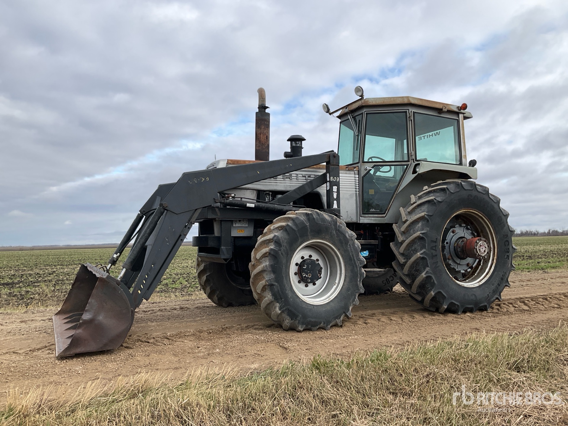 General Appearance with Spin