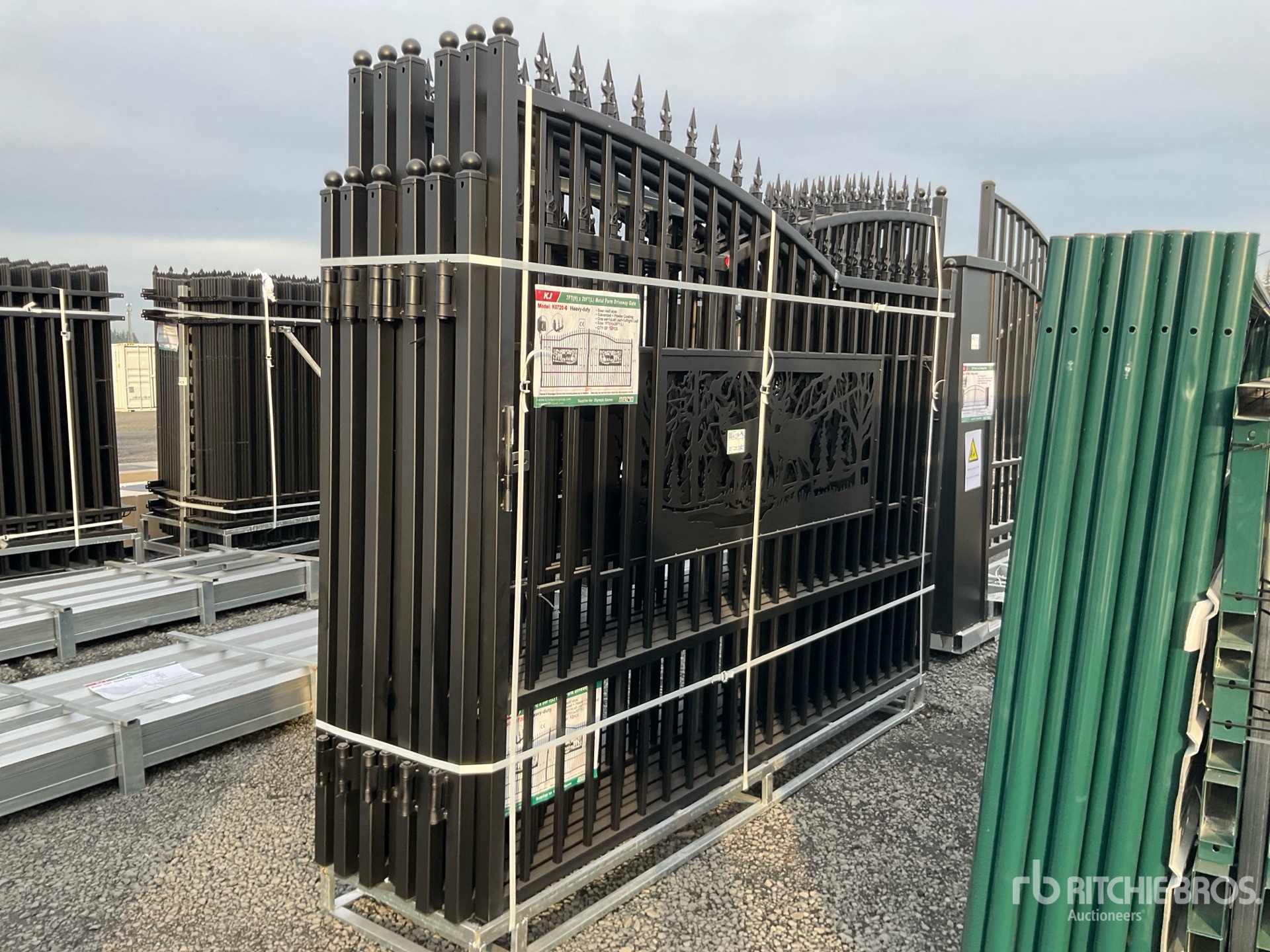 General Appearance with 