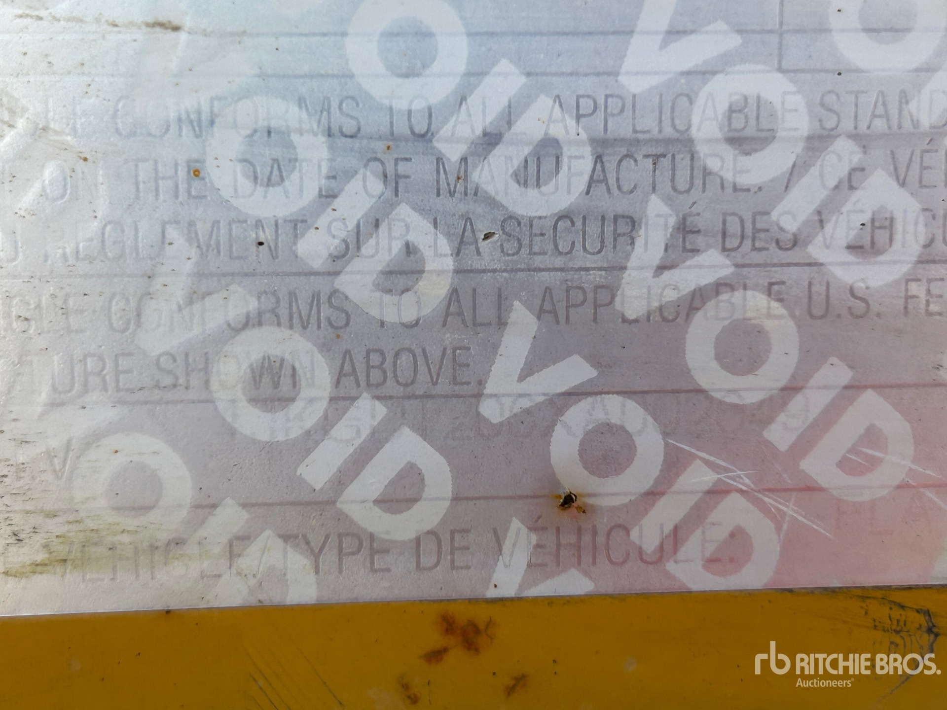 General Appearance with Numero seriale/numero d’identificazione del veicolo (VIN)