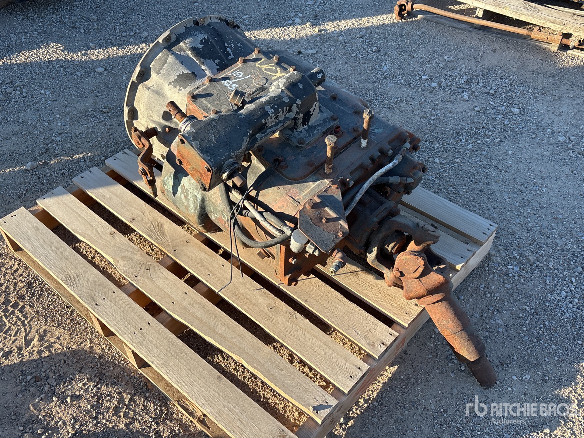 General Appearance with Foto, angolo posteriore sinistro