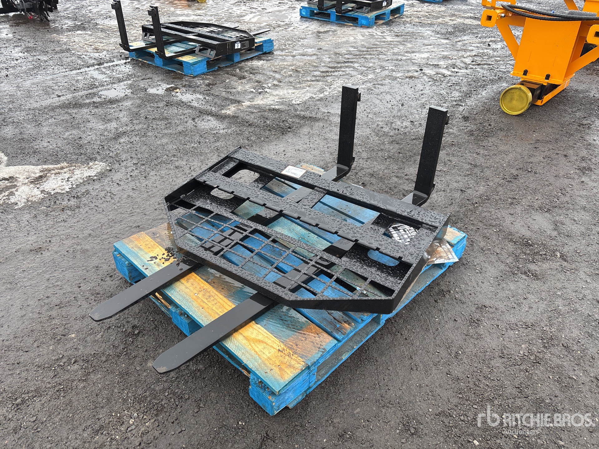 General Appearance with Zdjęcie, prawy dolny róg