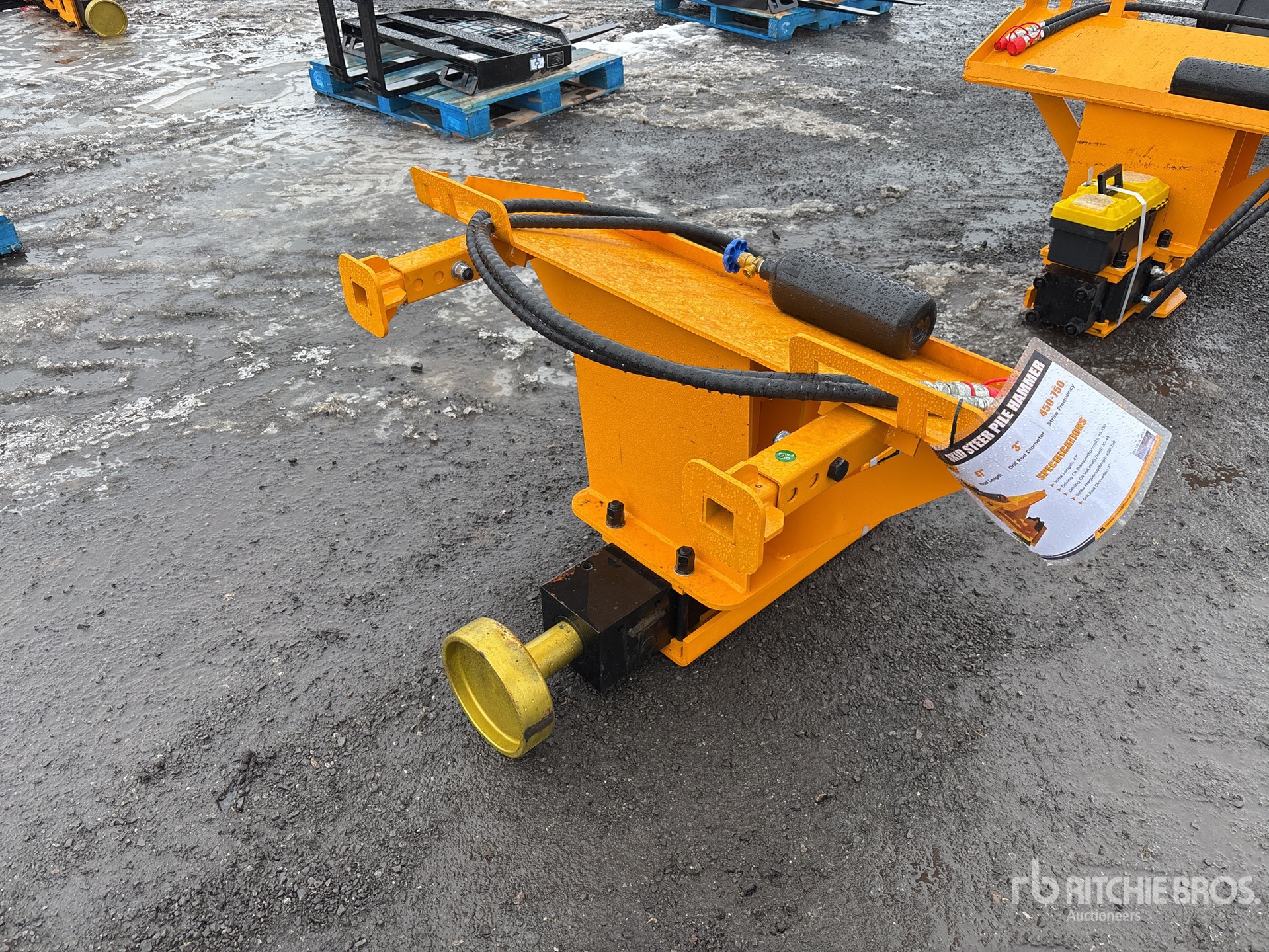 General Appearance with Zdjęcie, prawy dolny róg