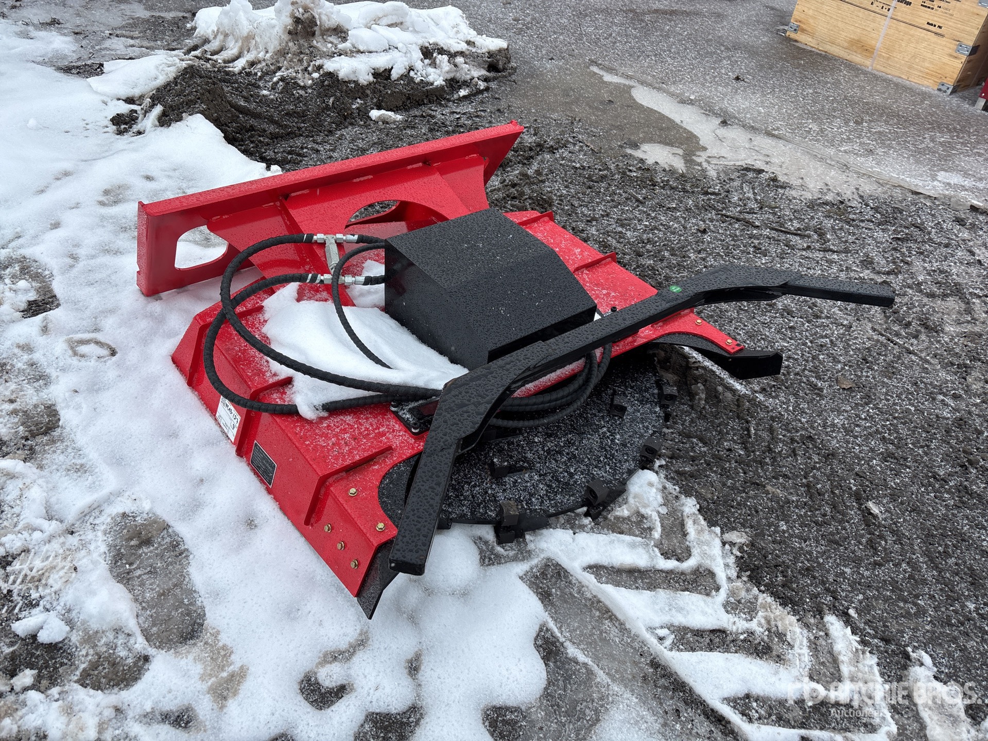 General Appearance with Zdjęcie, lewy górny róg