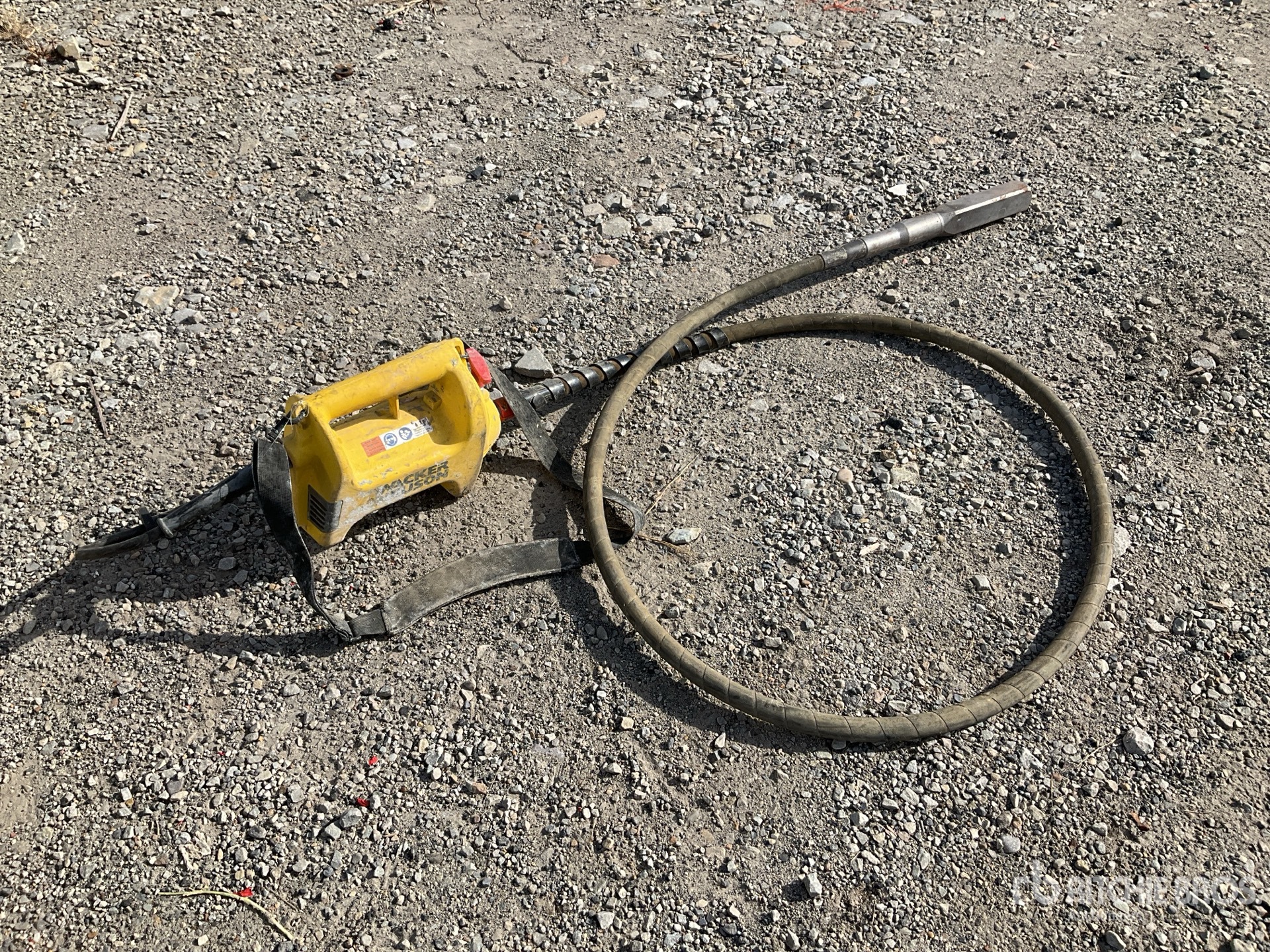 General Appearance with Image, coin arrière droit