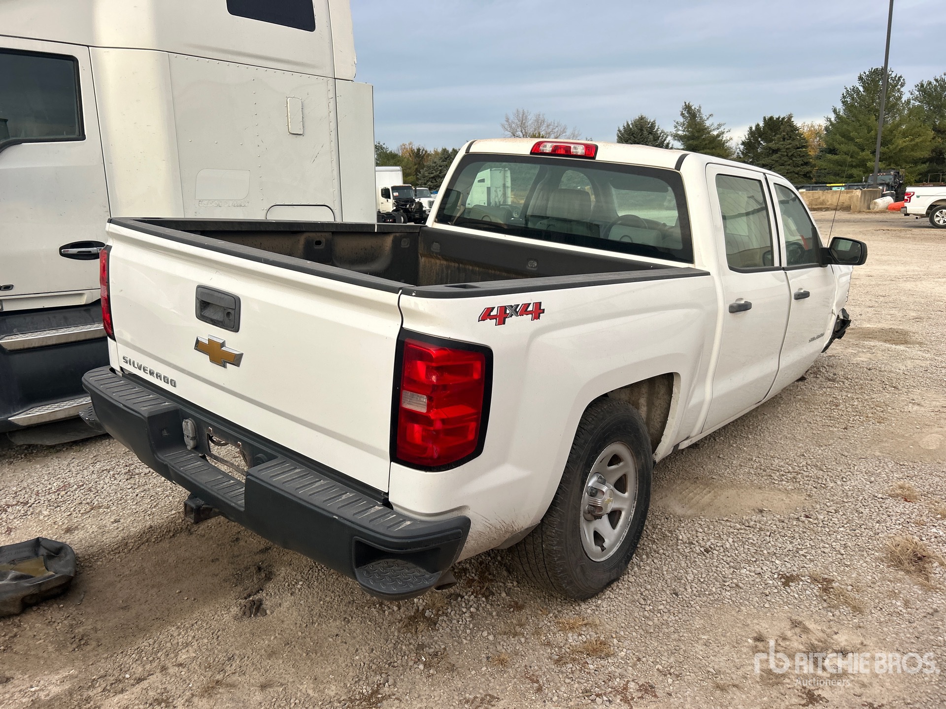 General Appearance with Zdjęcie, prawy dolny róg