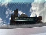 General Appearance with Second Serial Number/VIN Photo
