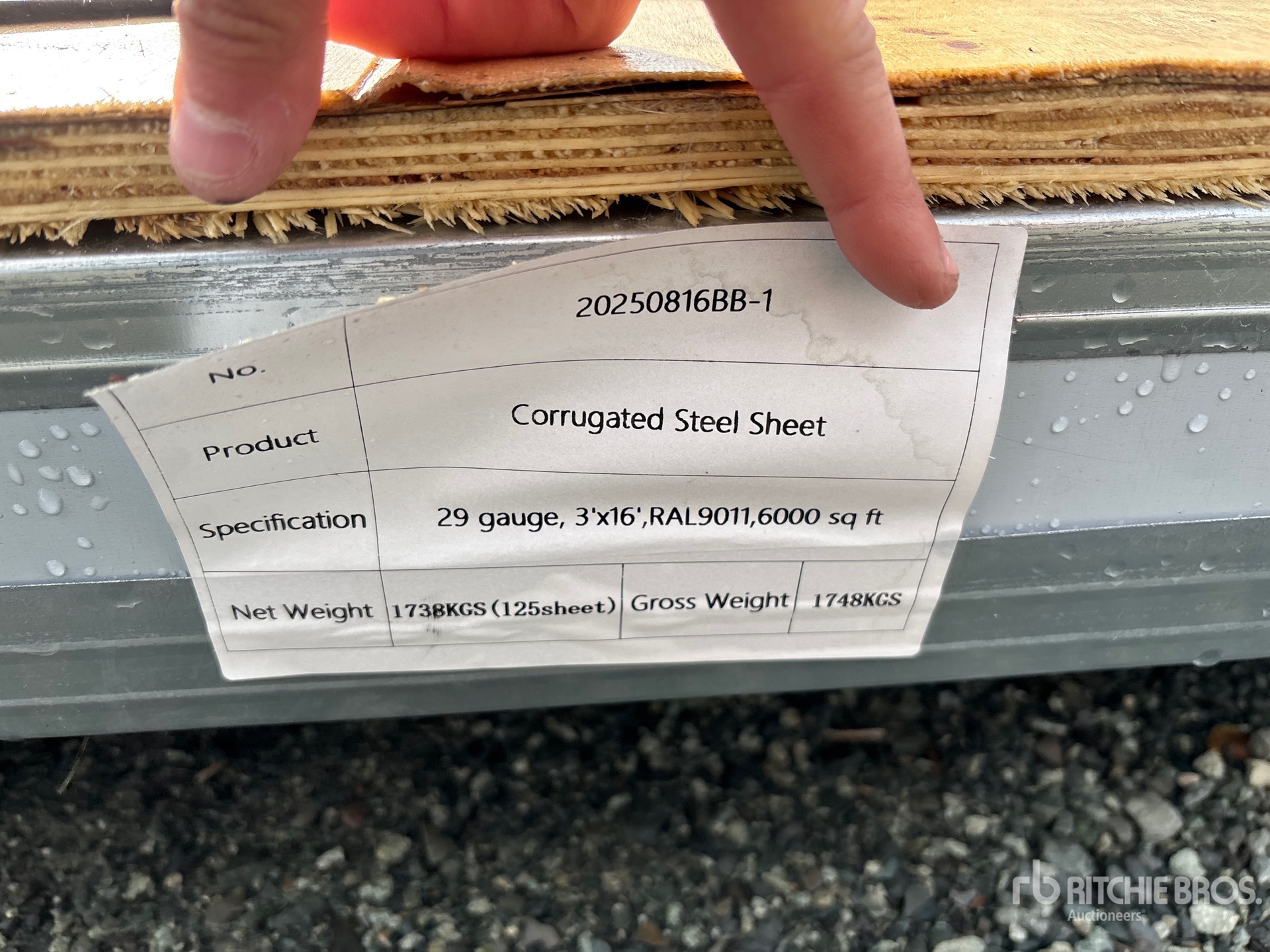 General Appearance with