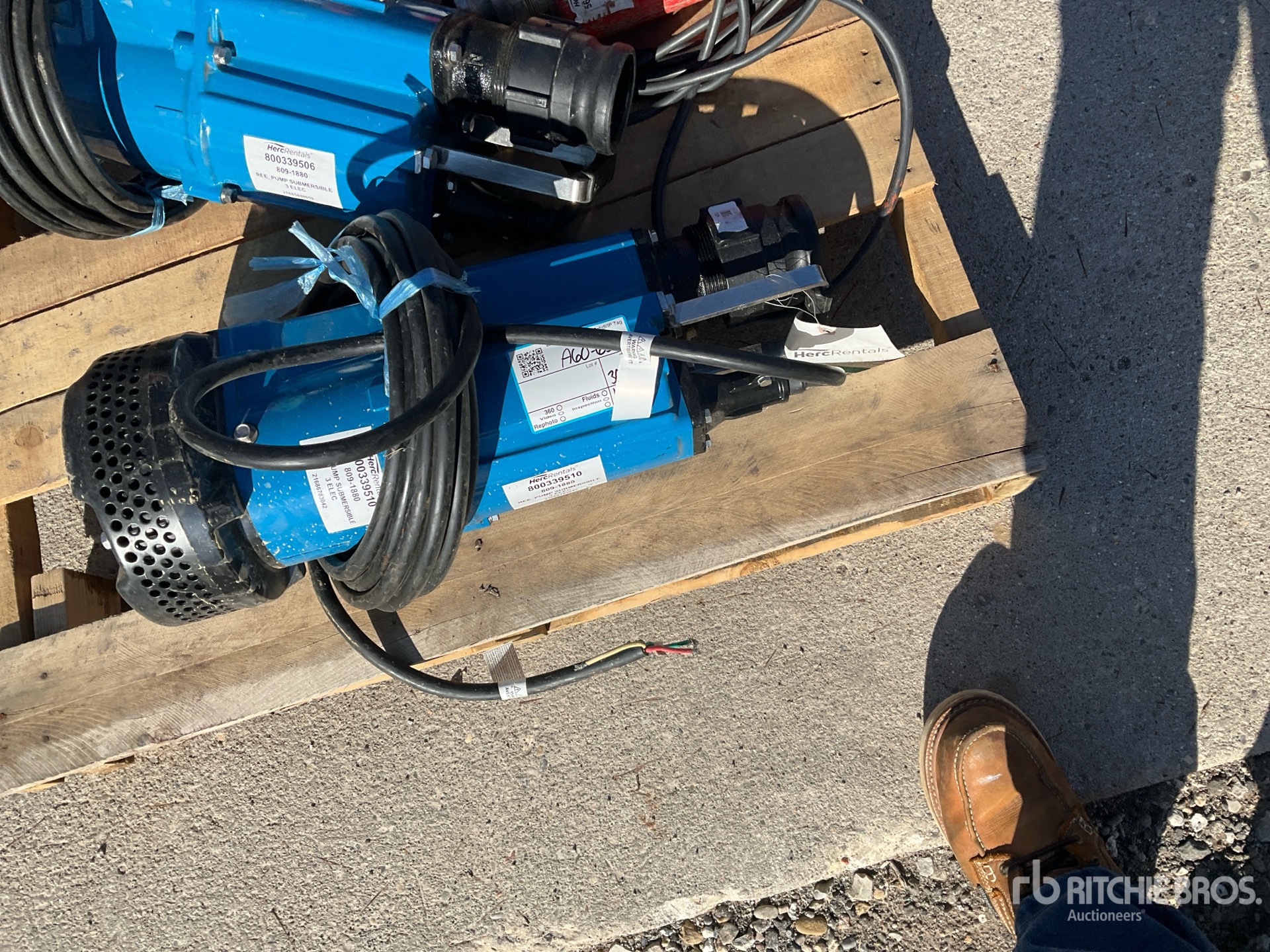 General Appearance with Featured Photo