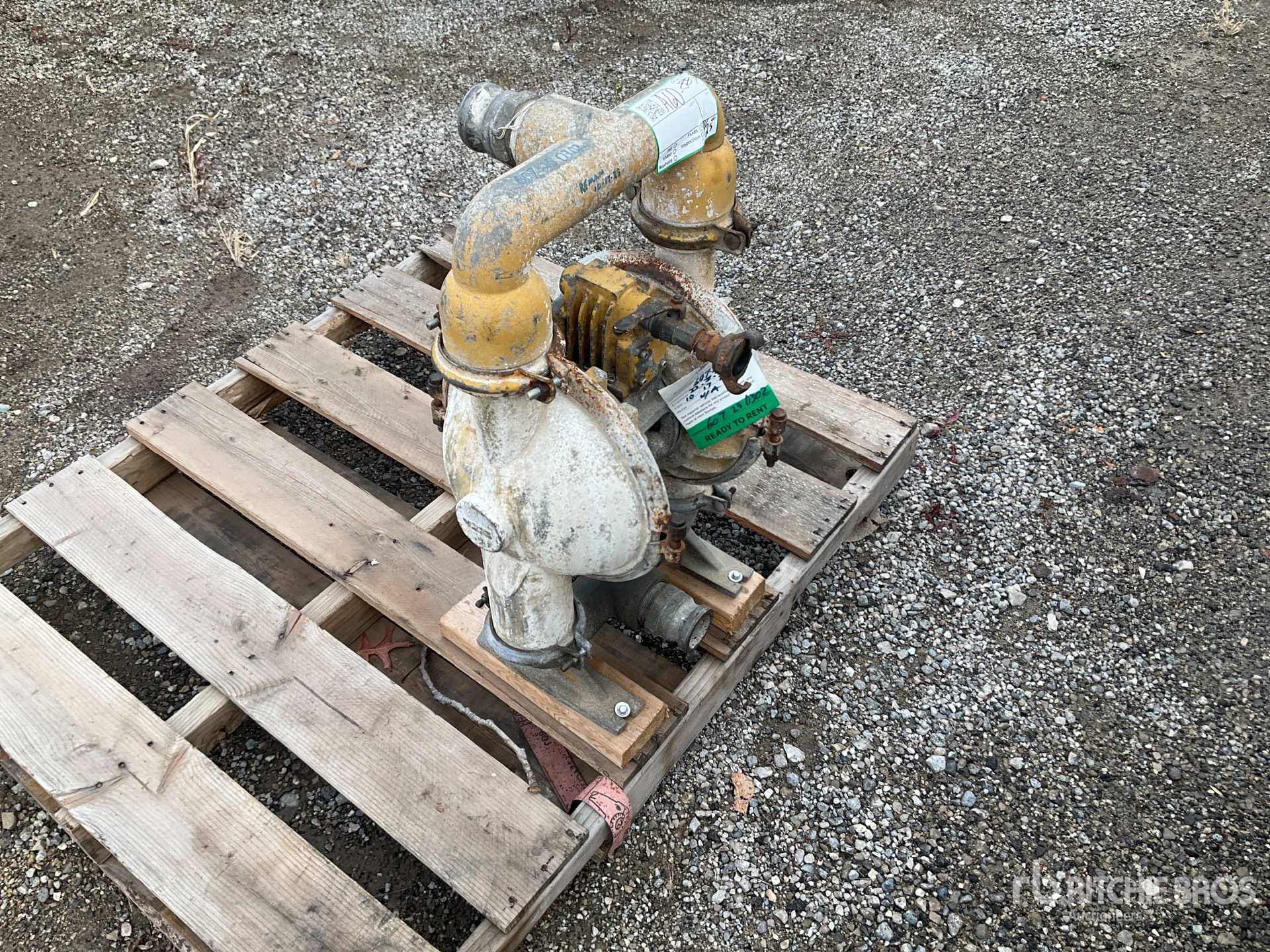 General Appearance with Featured Photo