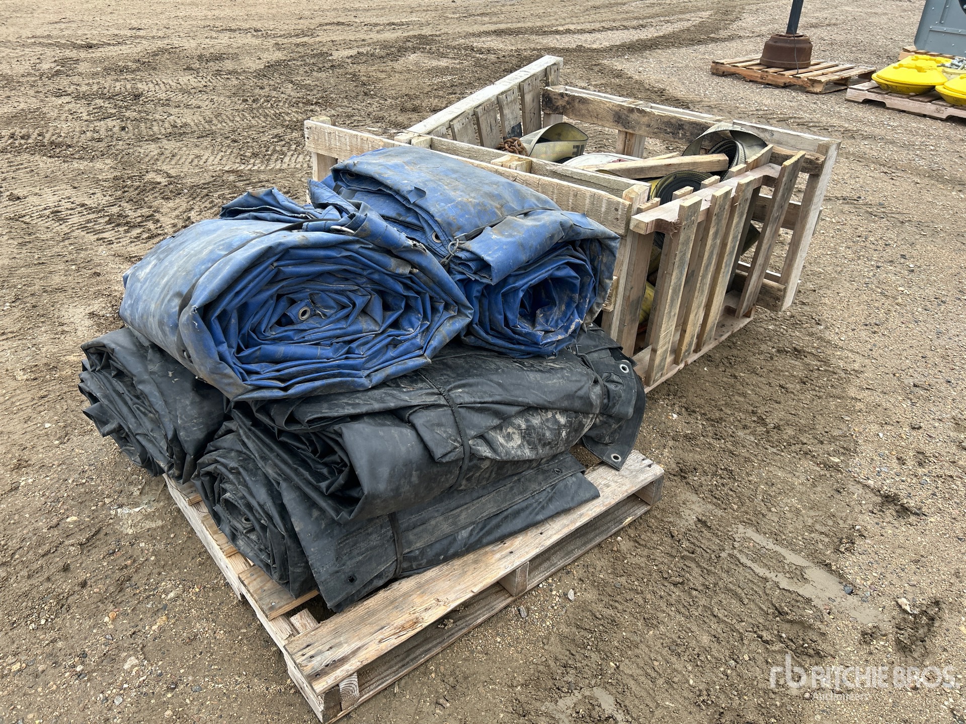 General Appearance with Bild, Ecke hinten links