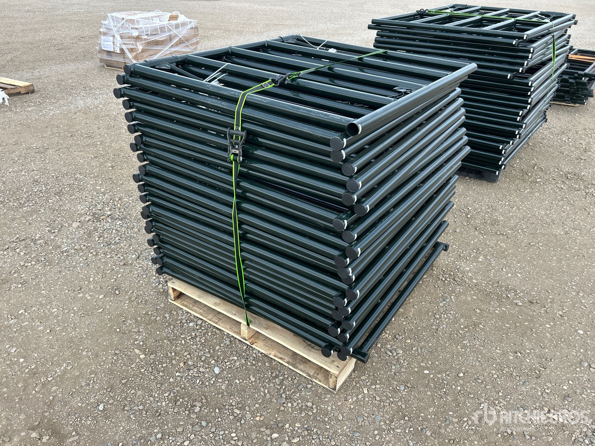 General Appearance with Zdjęcie, prawy dolny róg