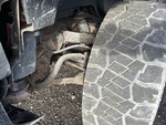 Chassis Photos with 