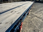 General Appearance with Paint