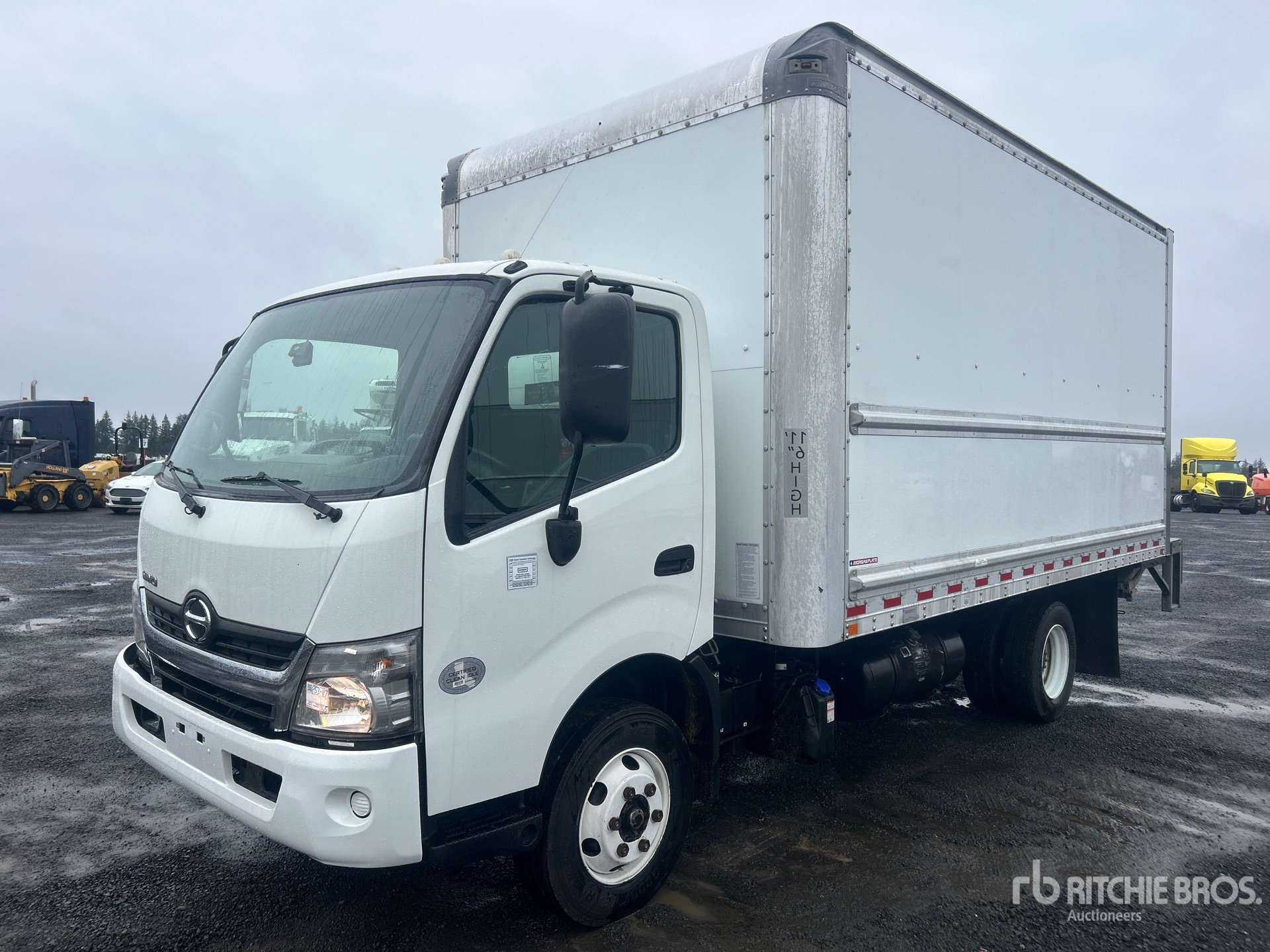 General Appearance with Spin