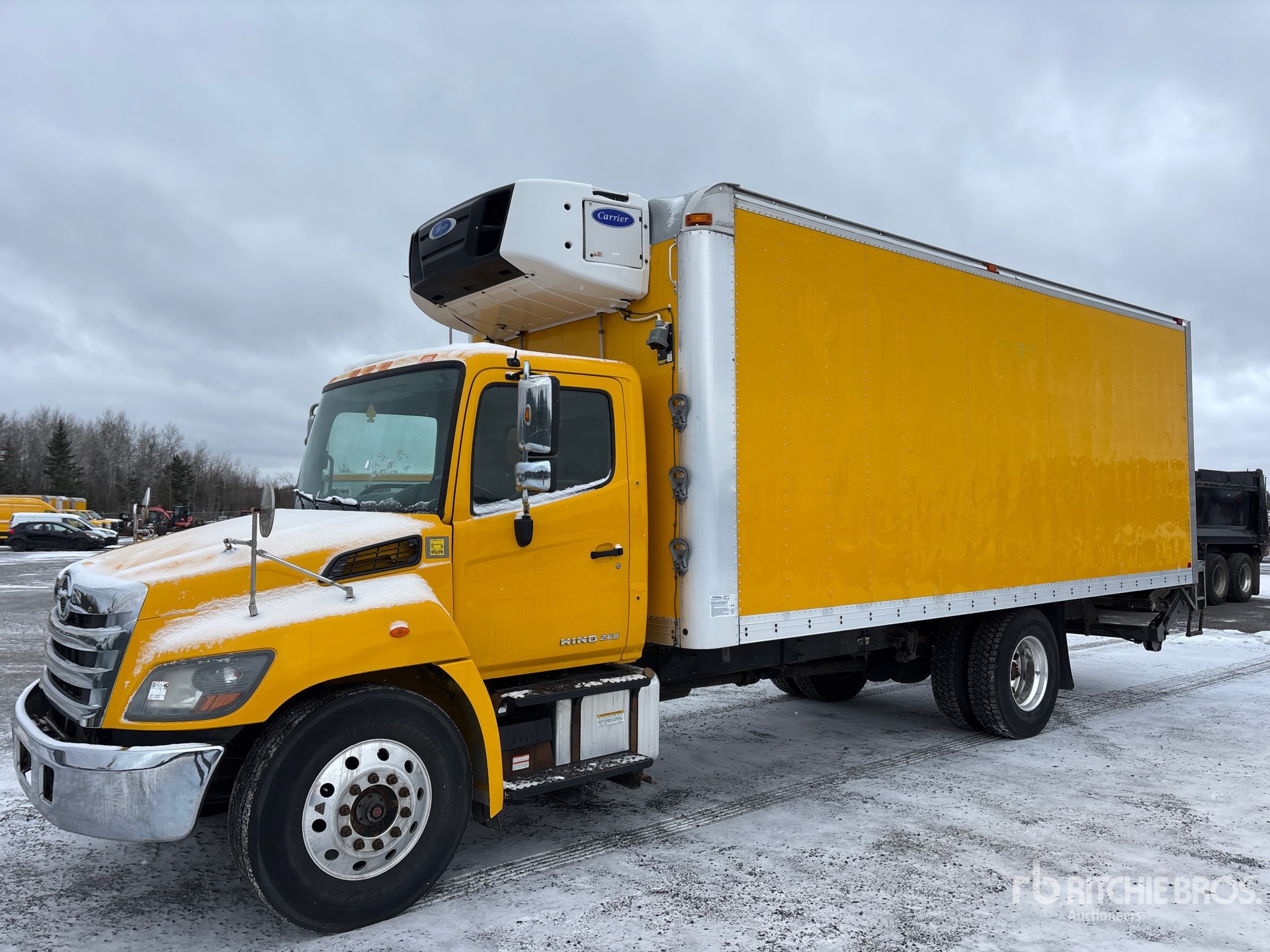 General Appearance with Spin