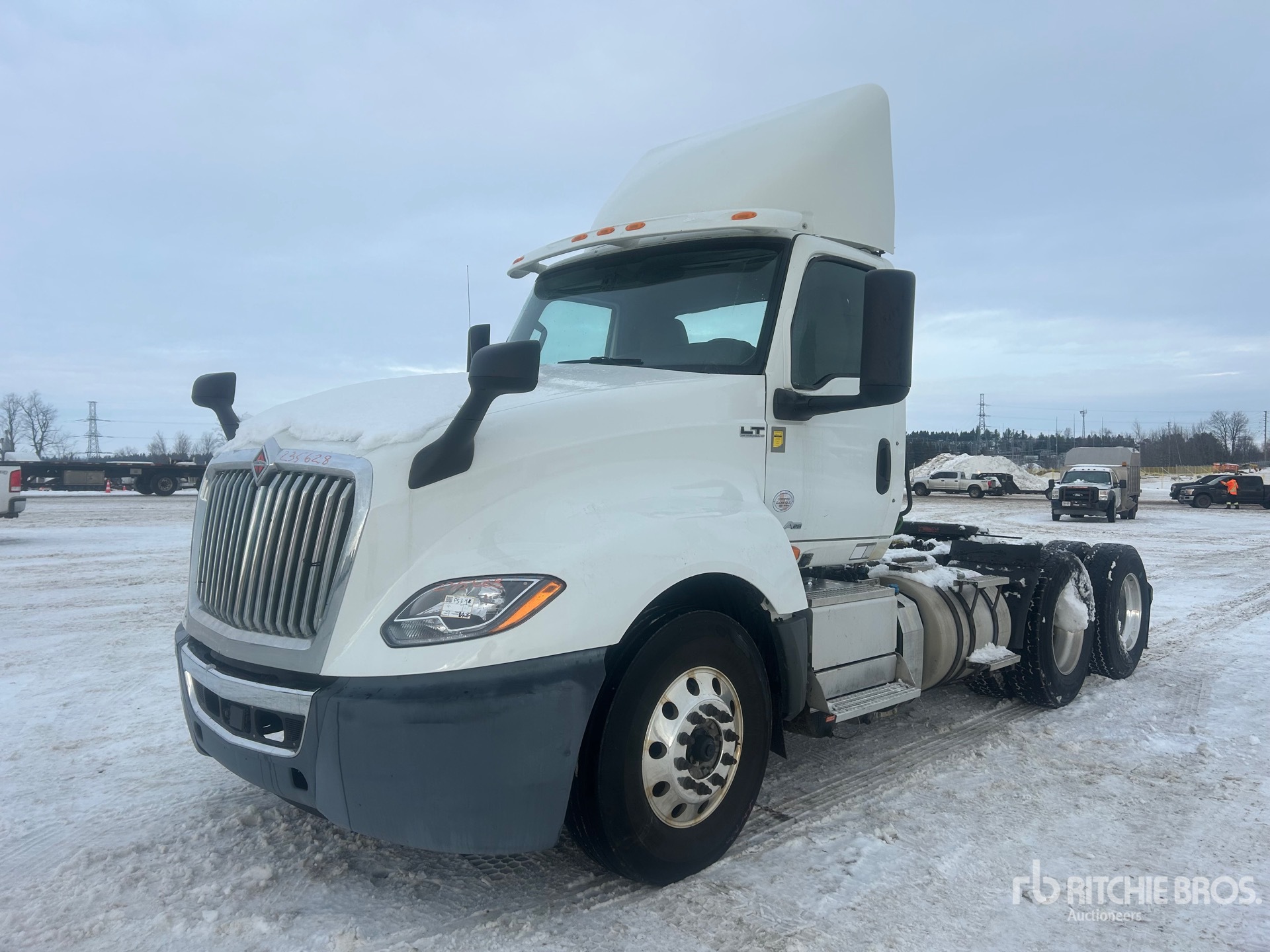 General Appearance with Spin