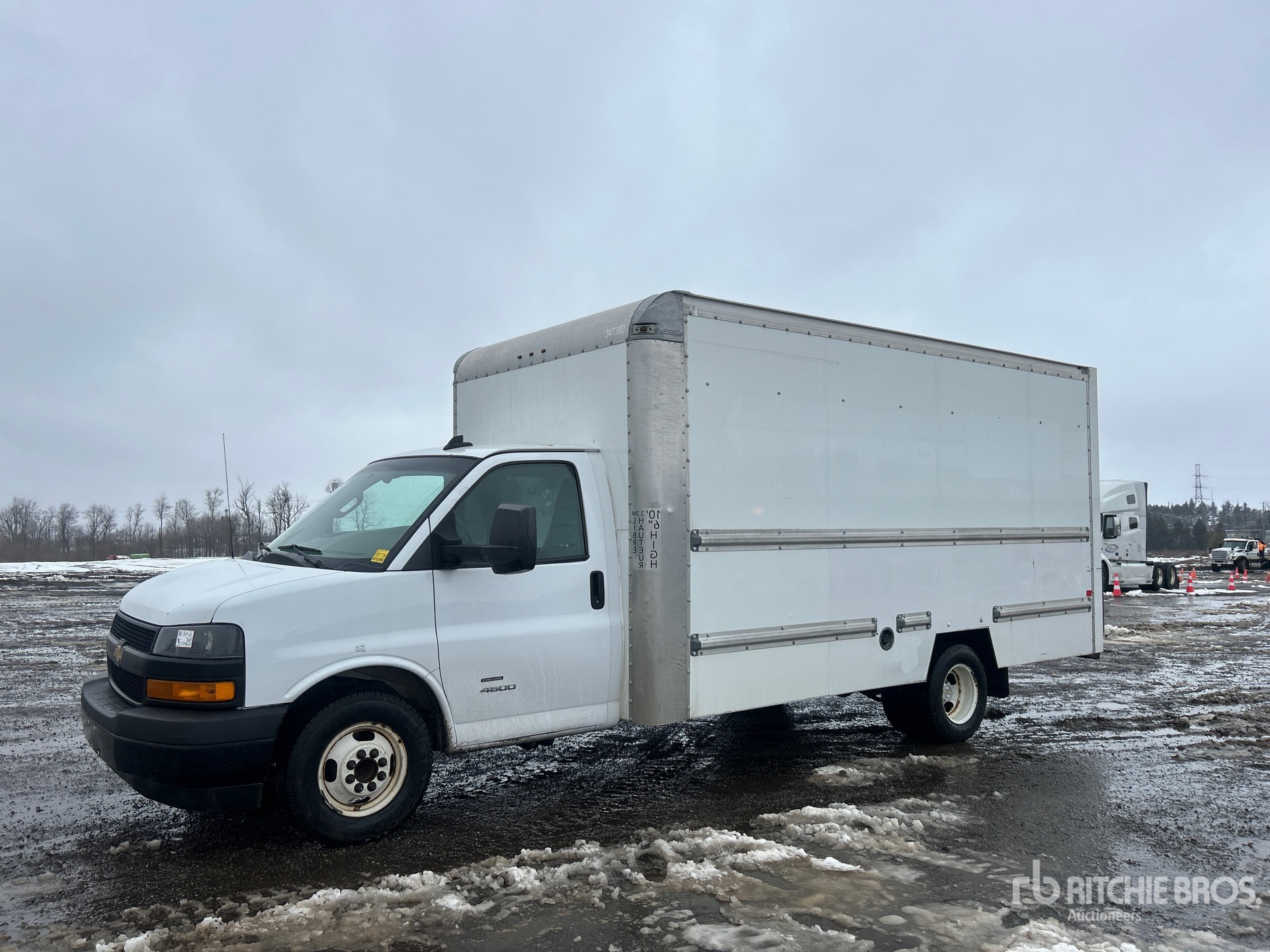 General Appearance with Spin