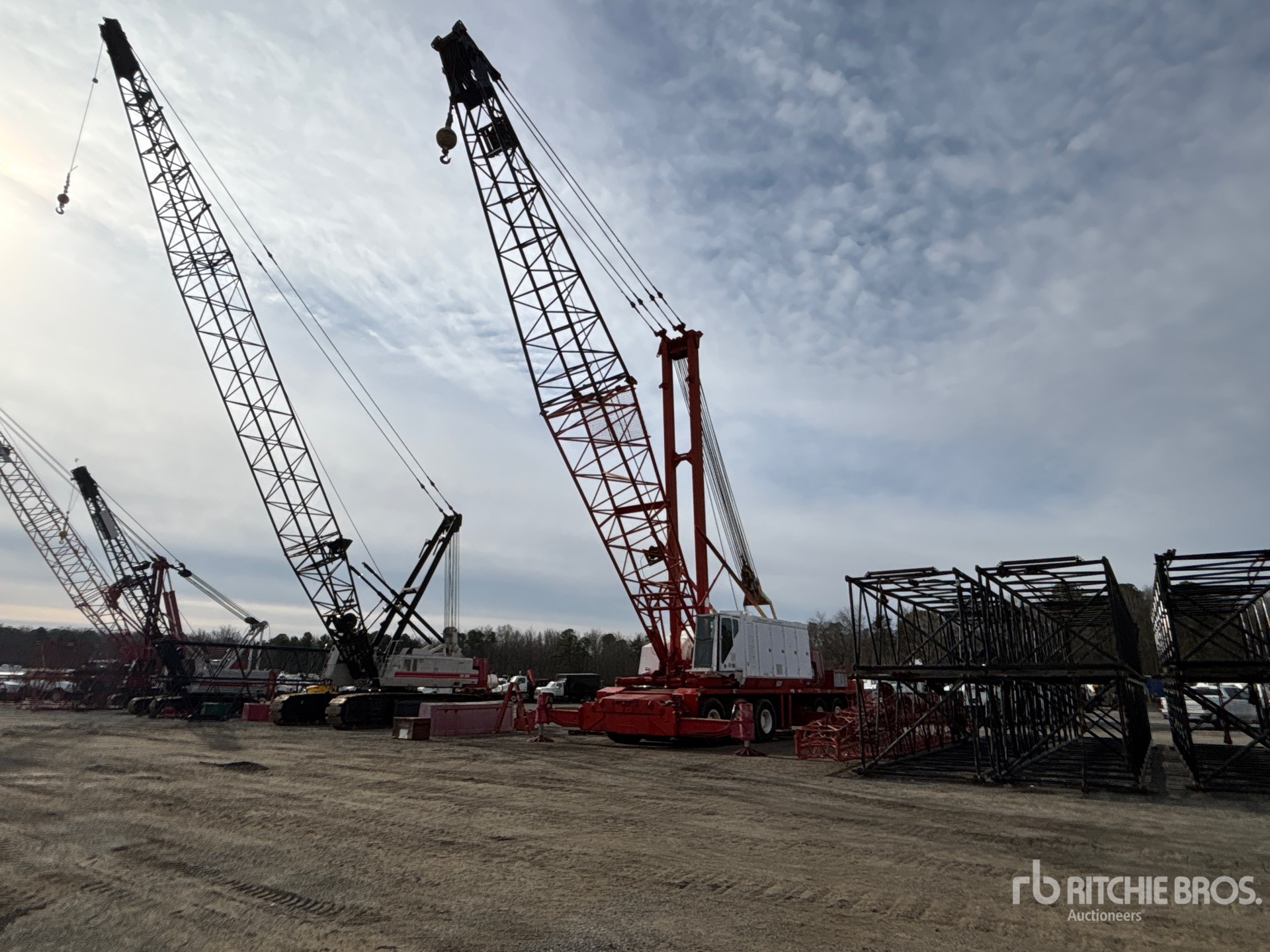 General Appearance with Zdjęcie, prawy dolny róg