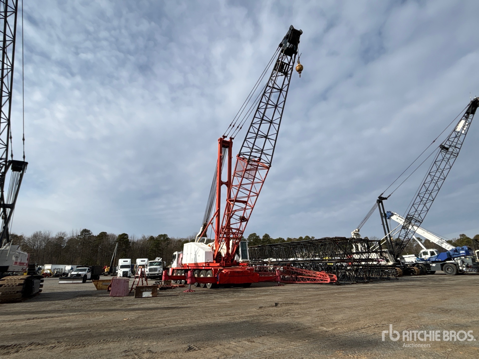 General Appearance with Zdjęcie, lewy dolny róg