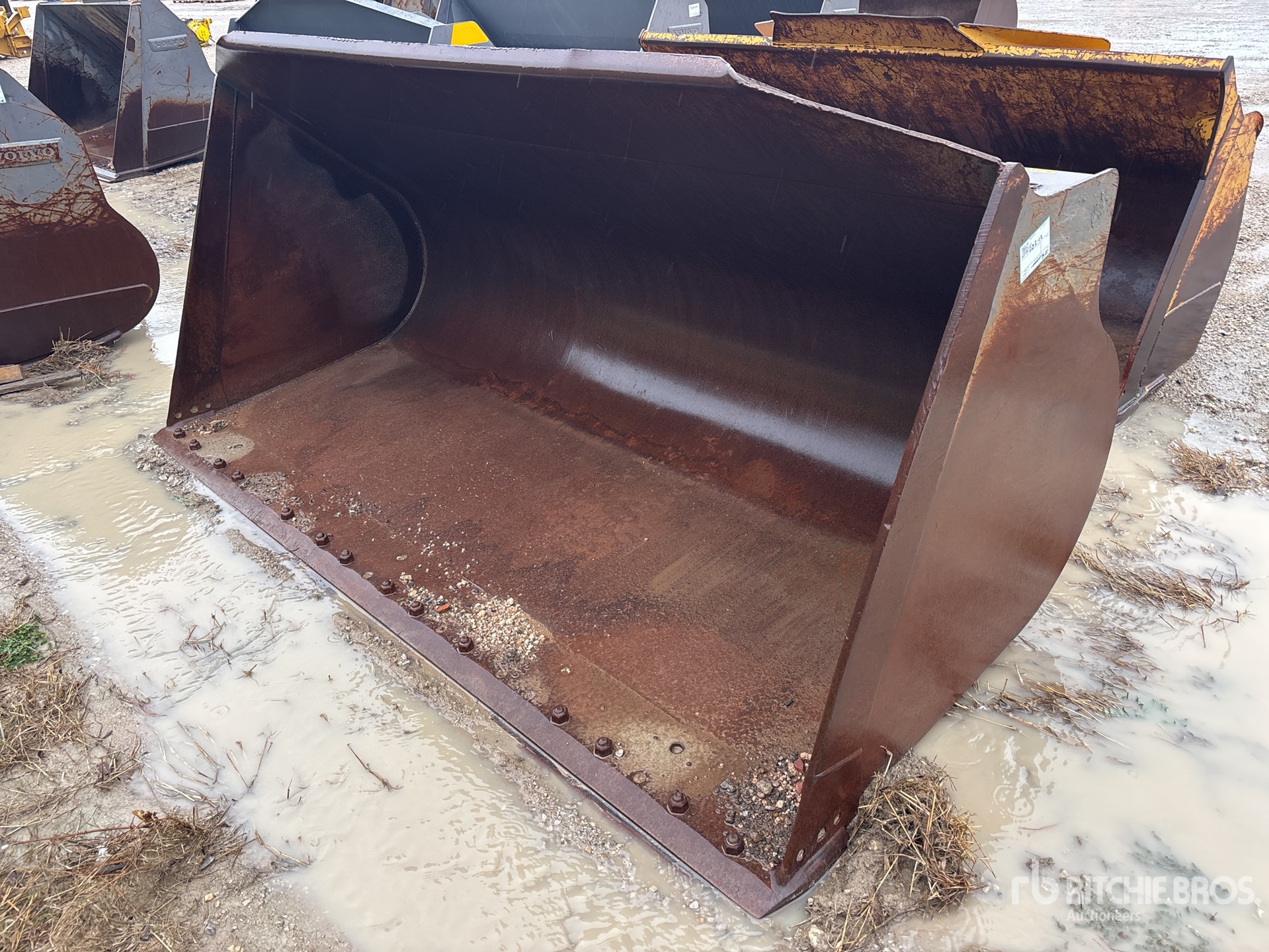 General Appearance with Bild, Ecke vorne links