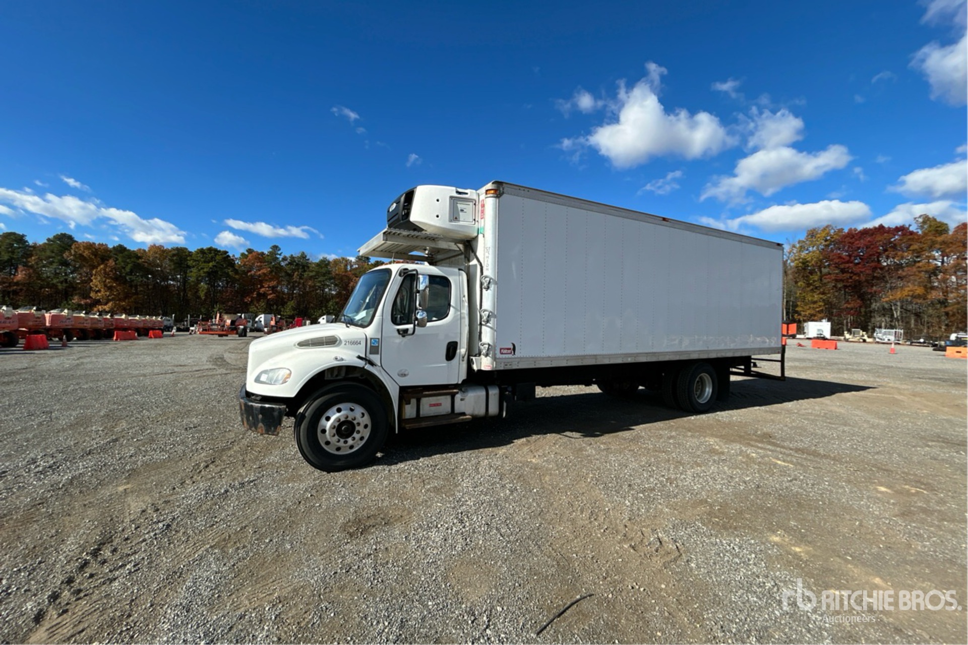 General Appearance with Spin