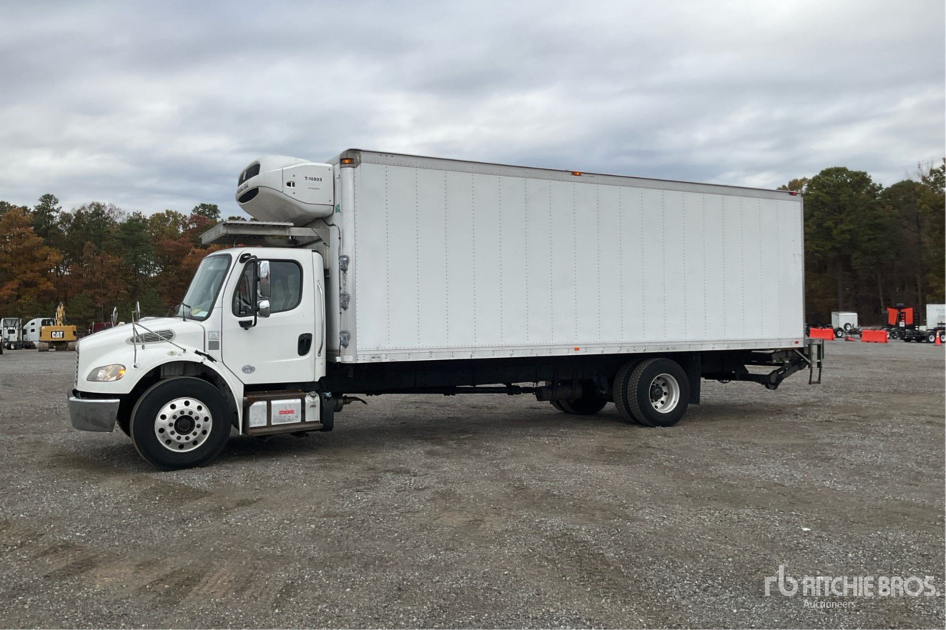 General Appearance with Spin