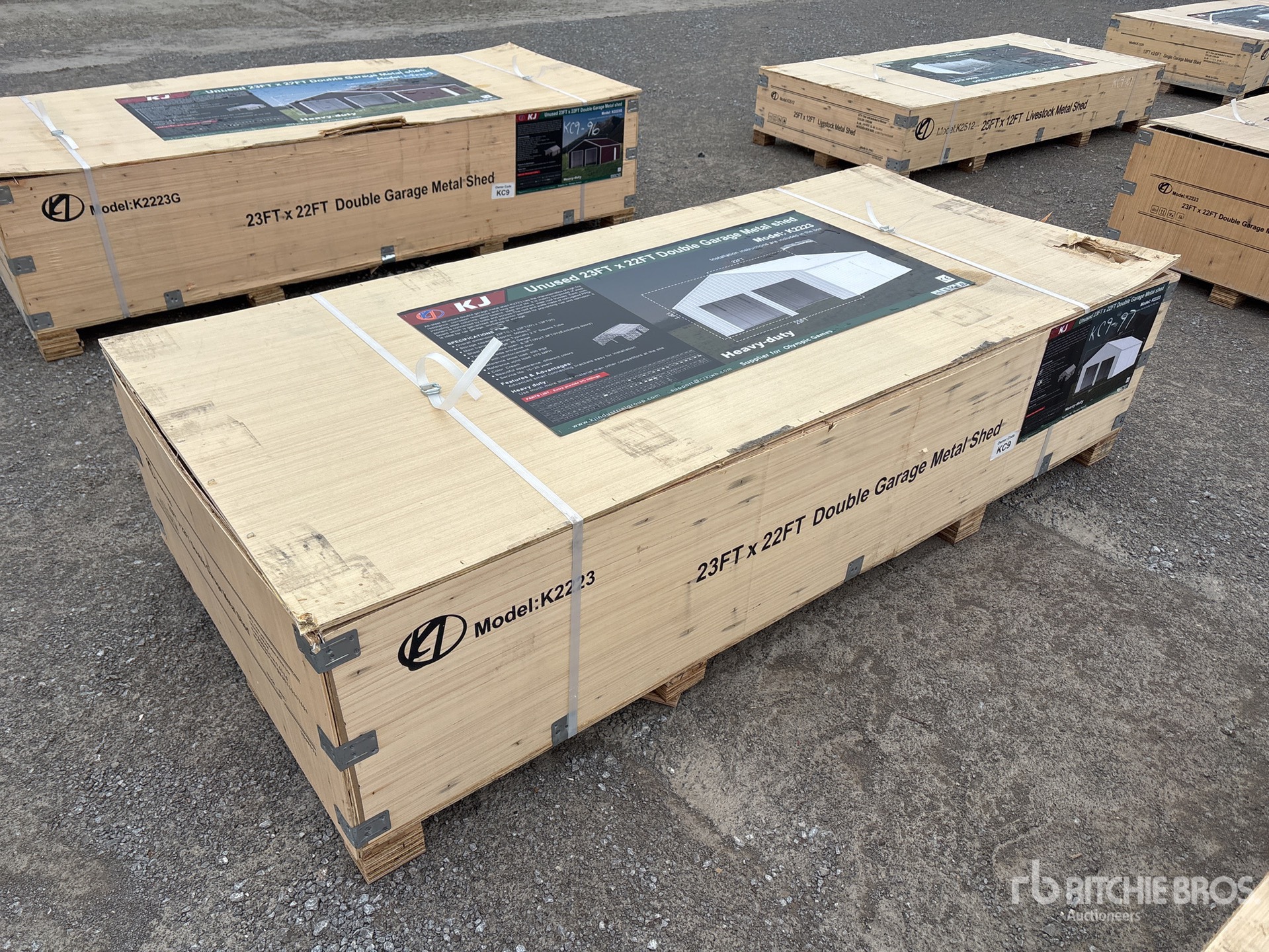 General Appearance with 