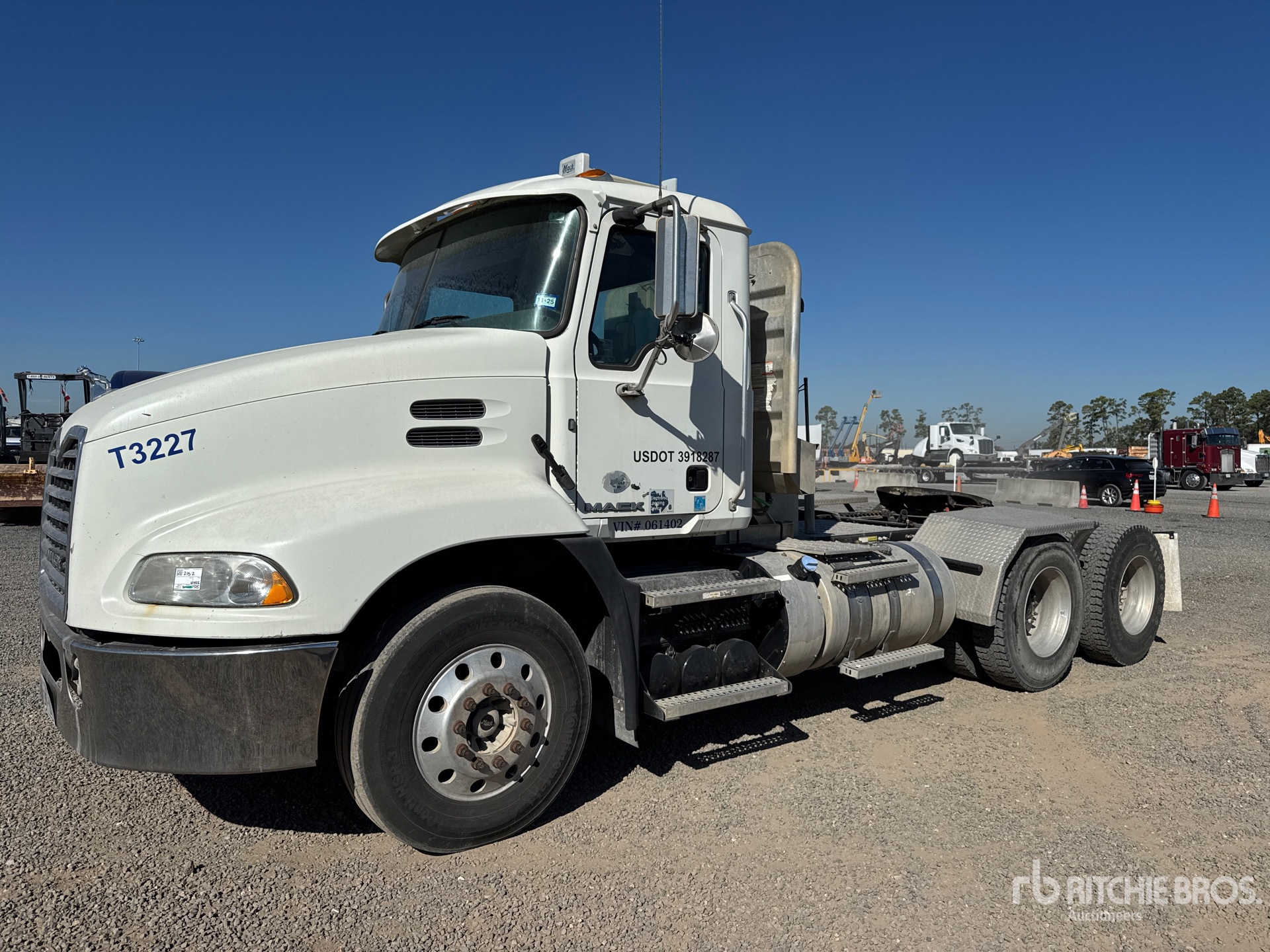 General Appearance with Spin