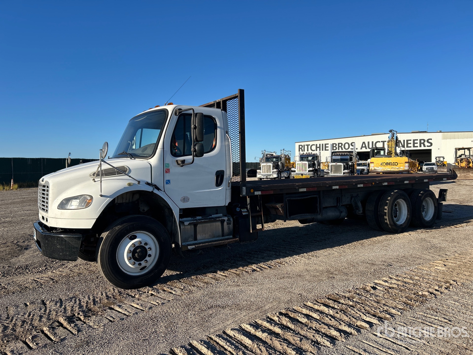 General Appearance with Spin