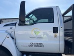 General Appearance with Paint