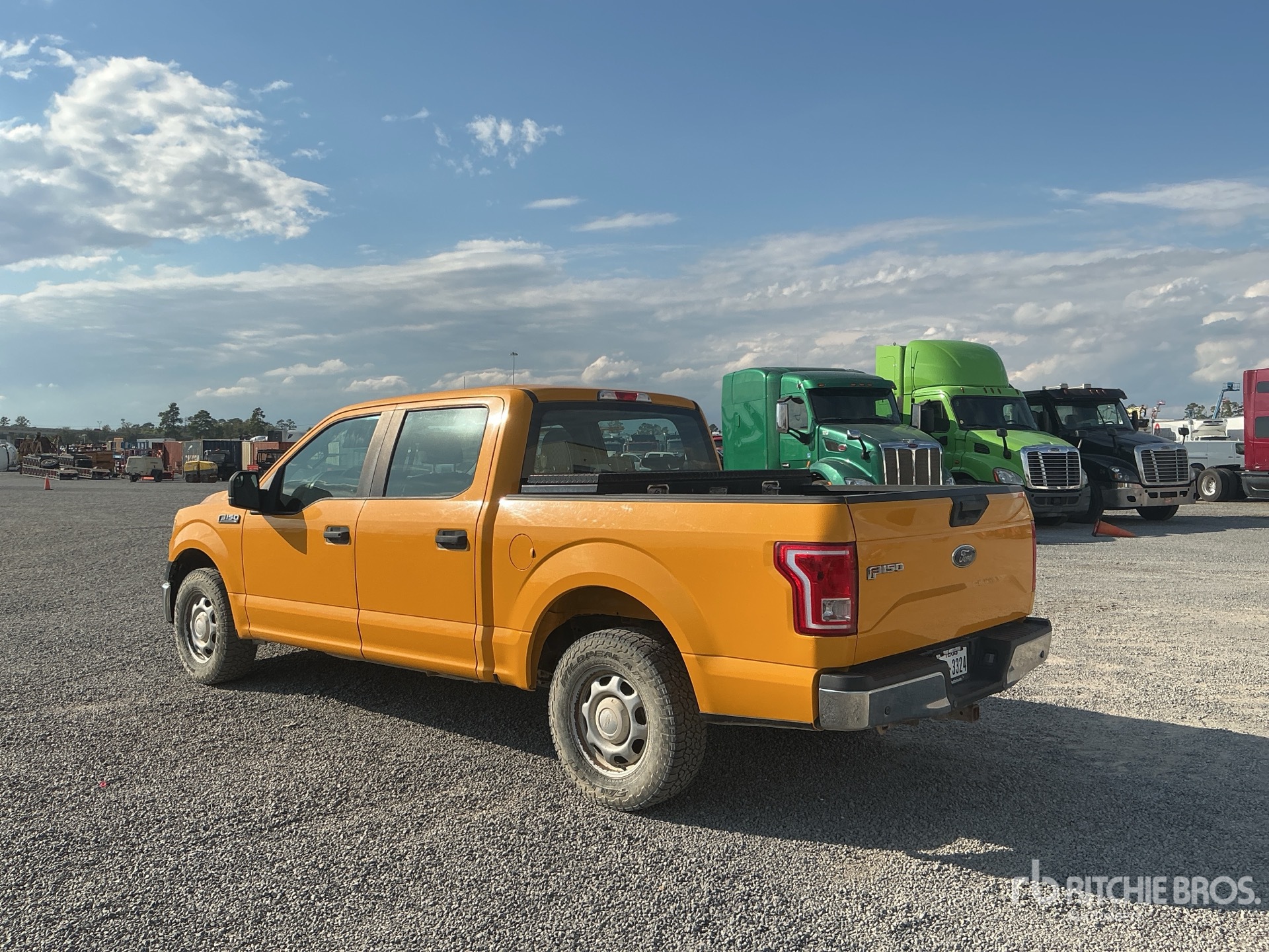 General Appearance with Zdjęcie, lewy dolny róg