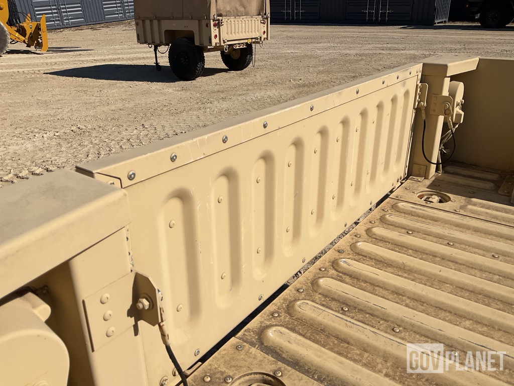 General Appearance with Paint